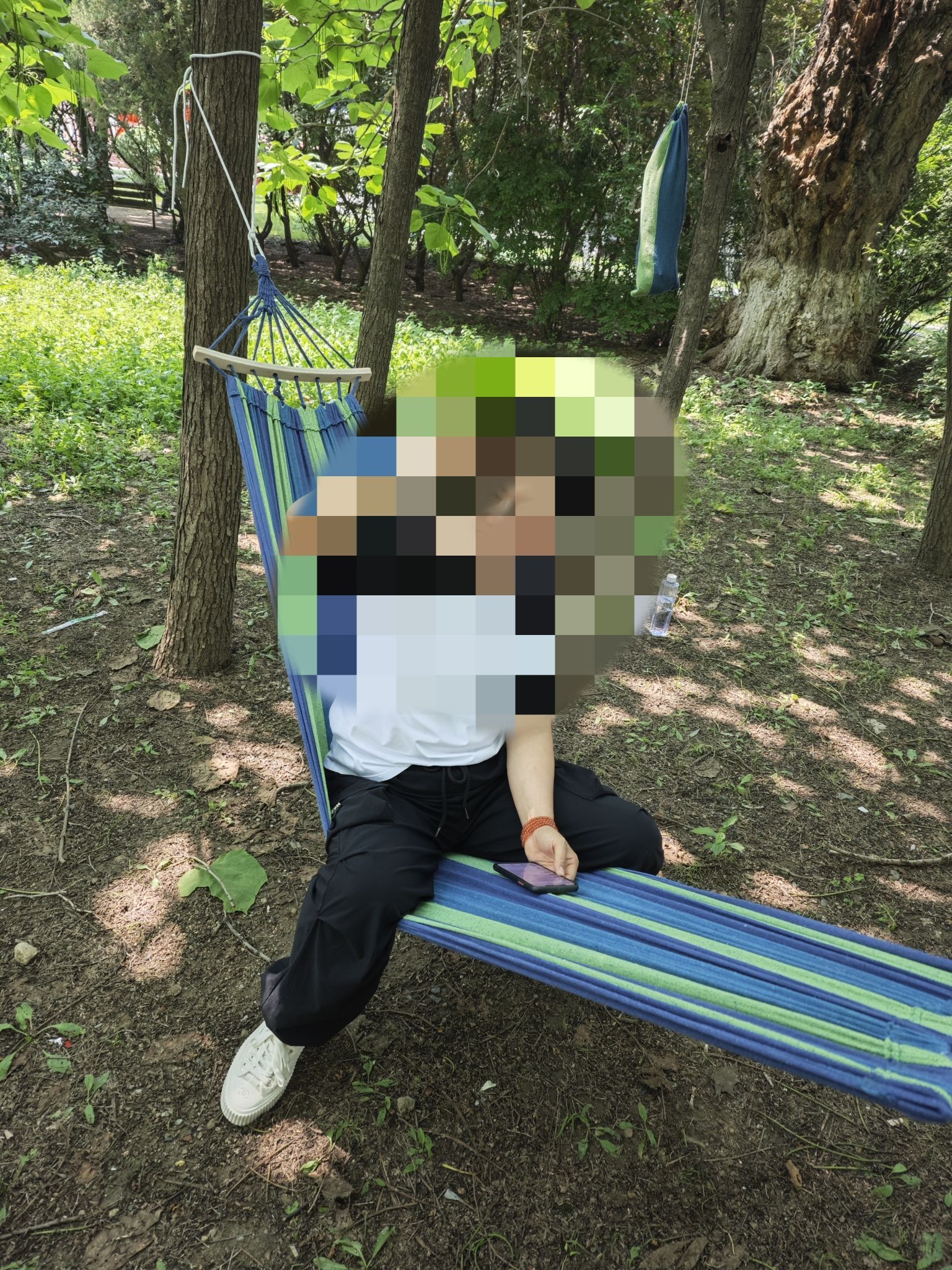 东林公园旅行图片 1