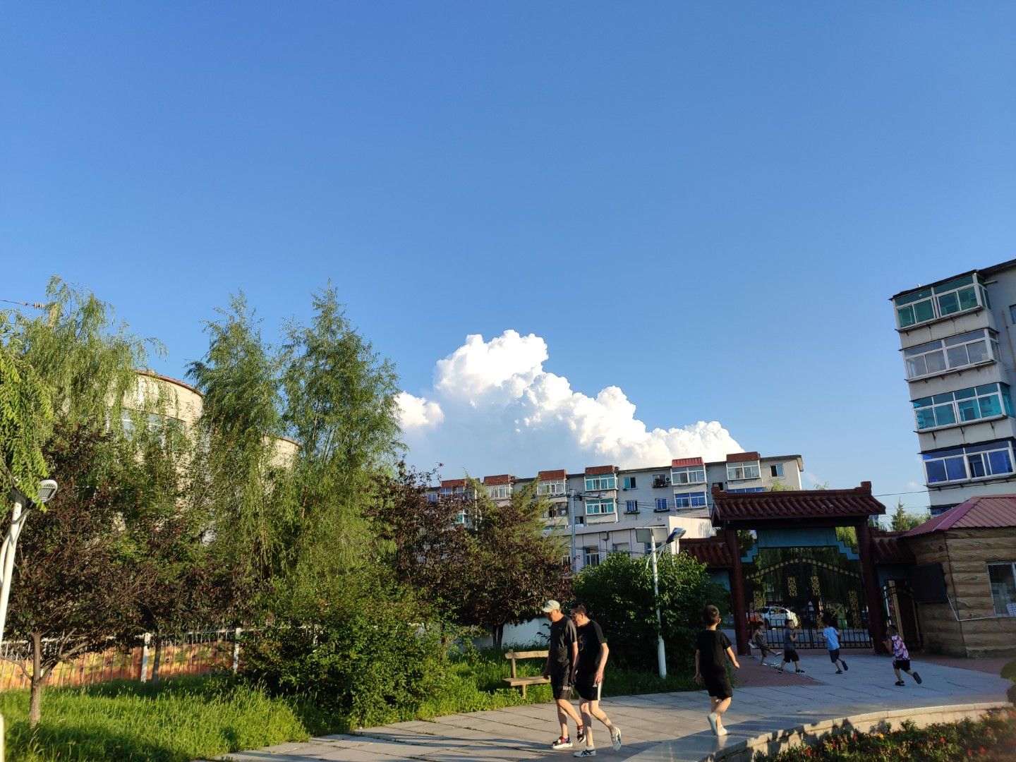乙烯小区公园