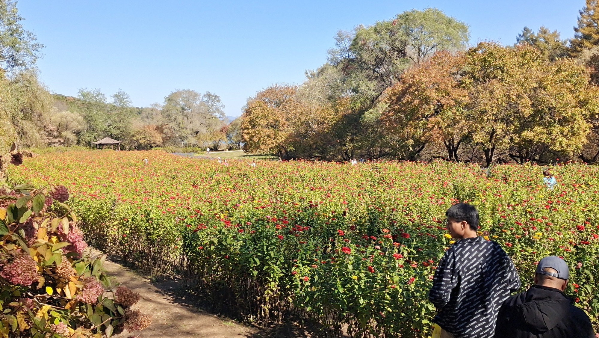萨尔浒风景名胜区旅行图片 1
