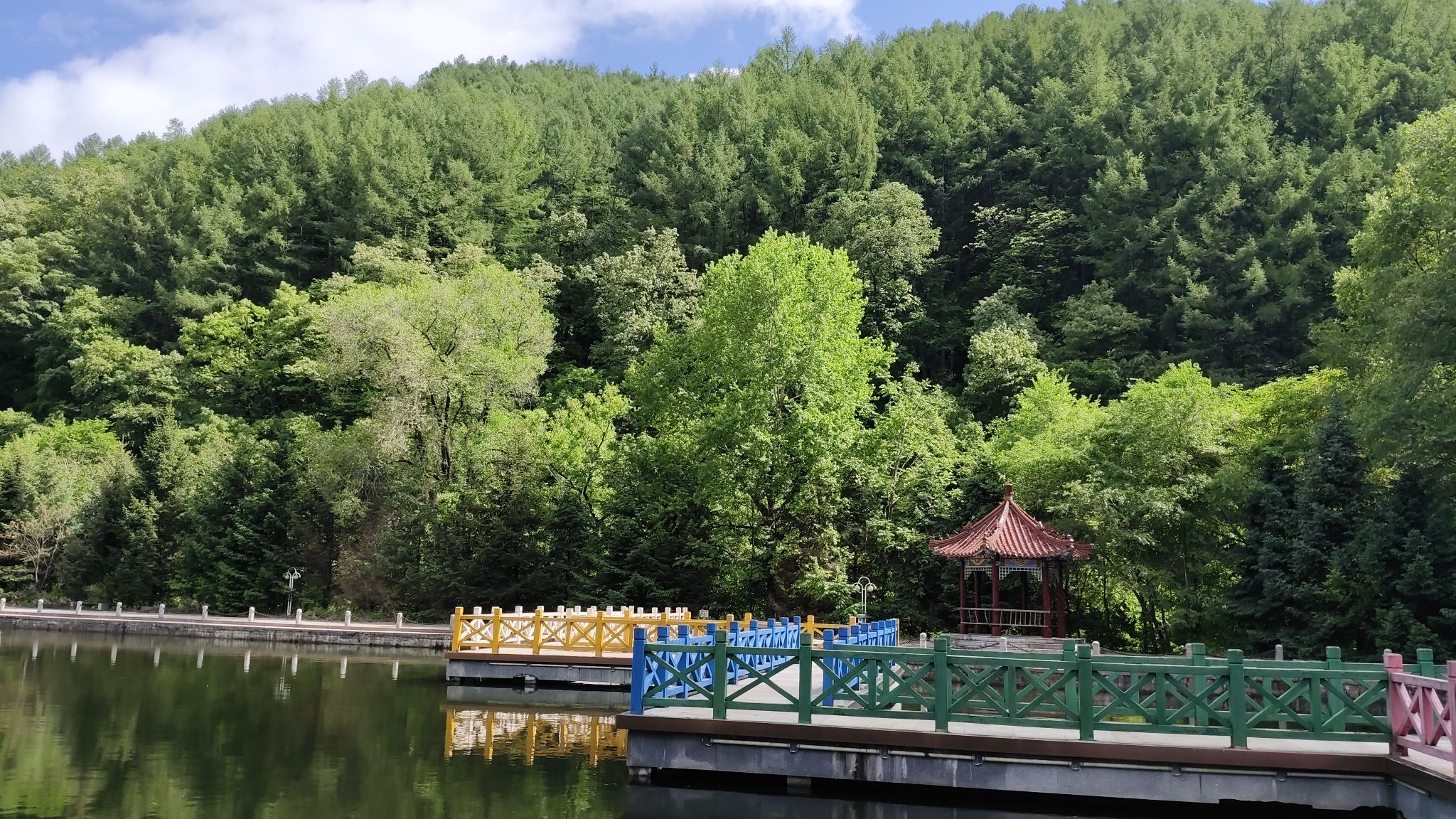 和睦国家森林公园旅行图片 2