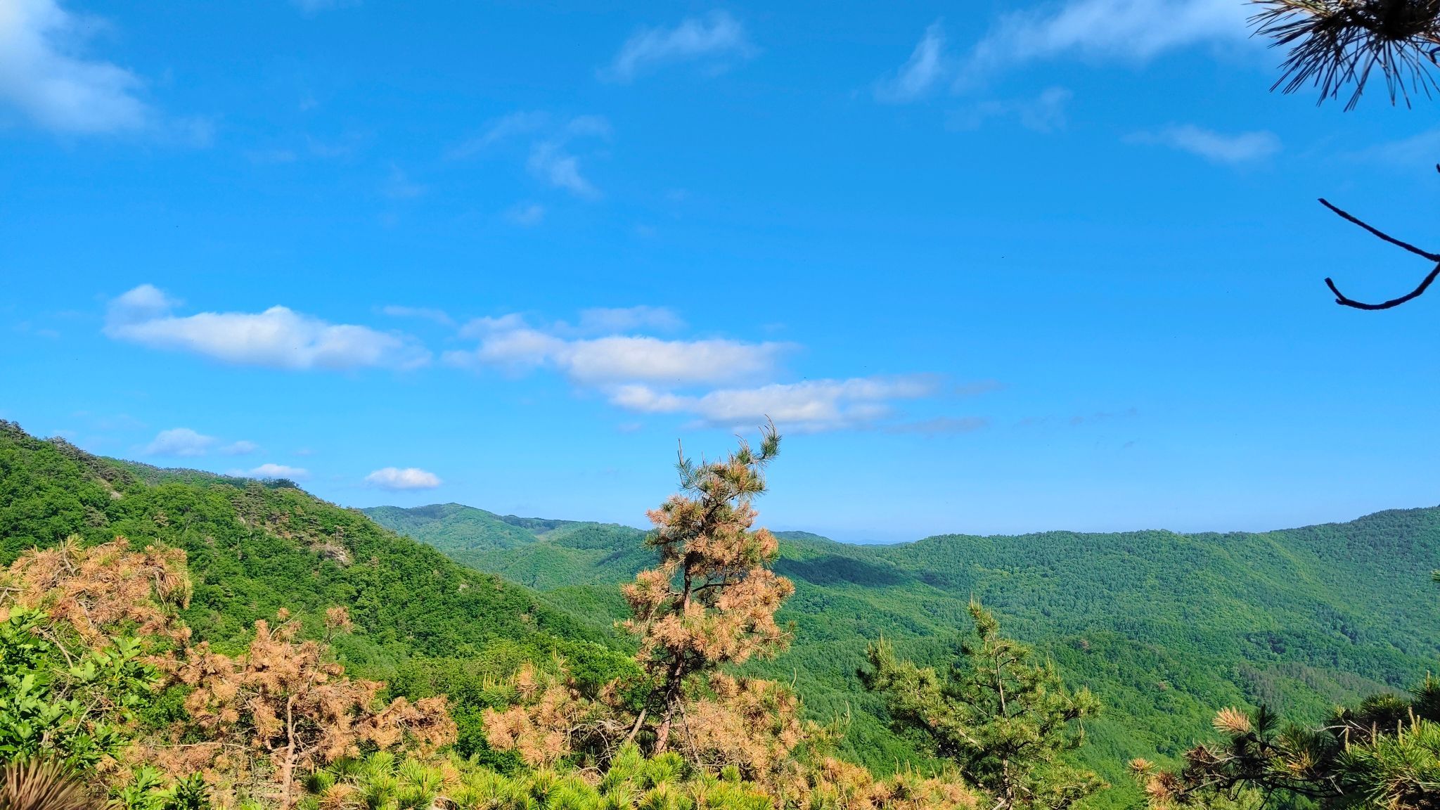 和睦国家森林公园旅行图片 1