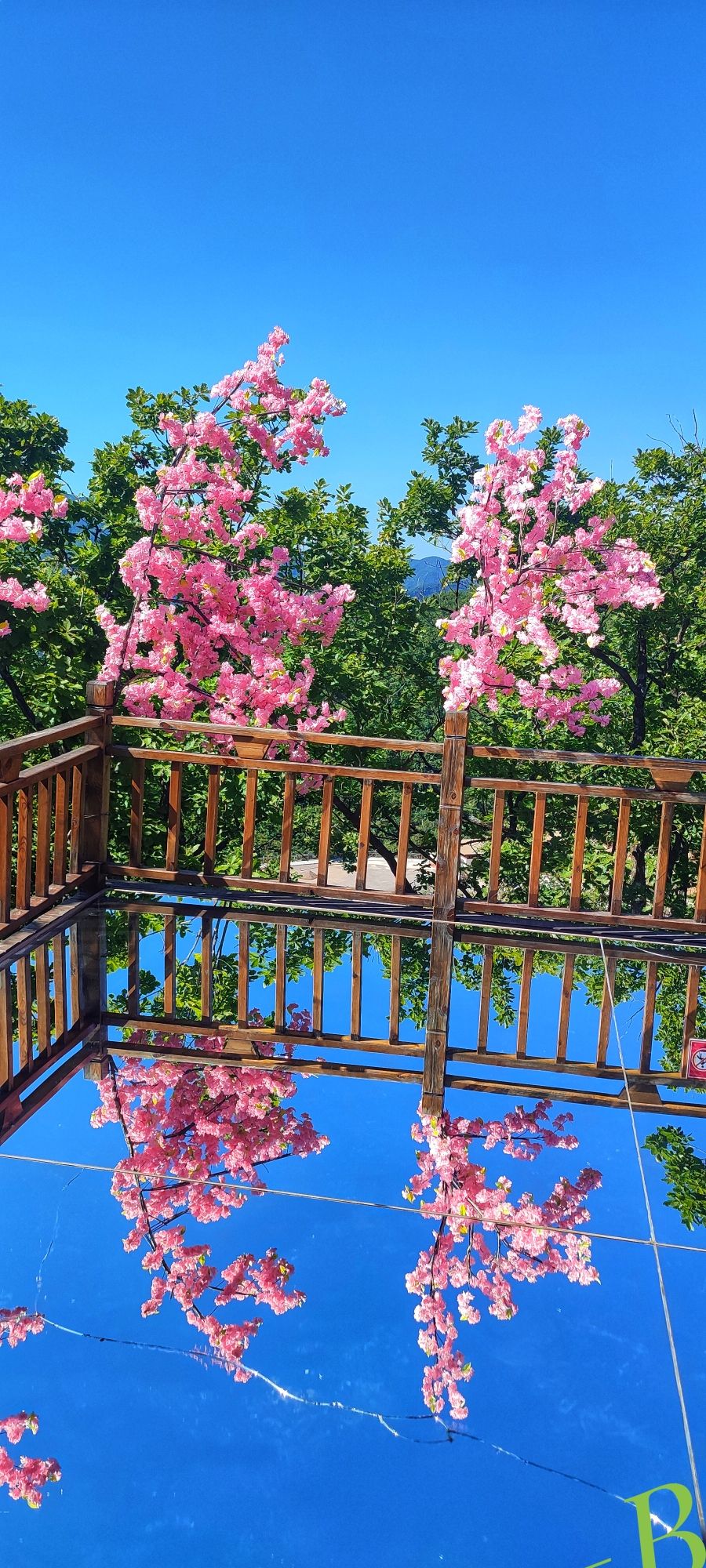 关山湖风景区旅行图片 2