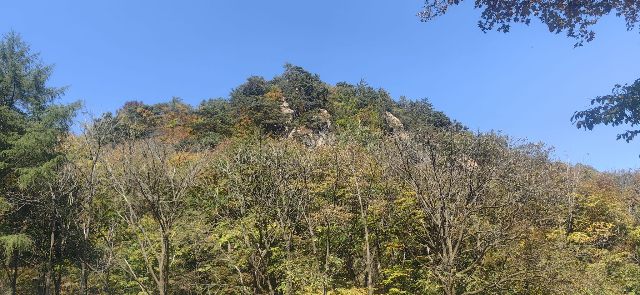 猴石国家森林公园(暂停开放)旅行图片 2