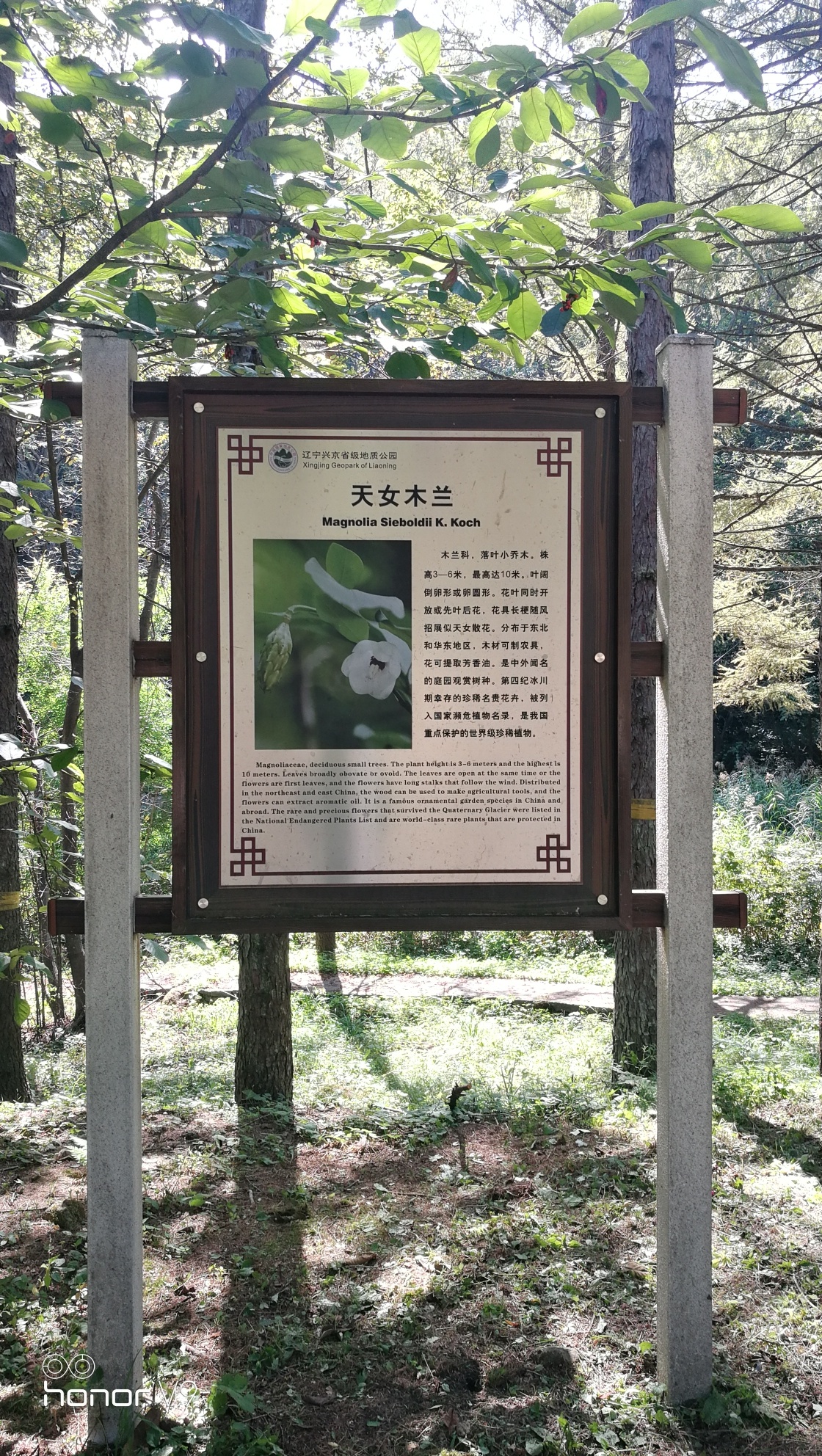 猴石国家森林公园(暂停开放)旅行图片 2