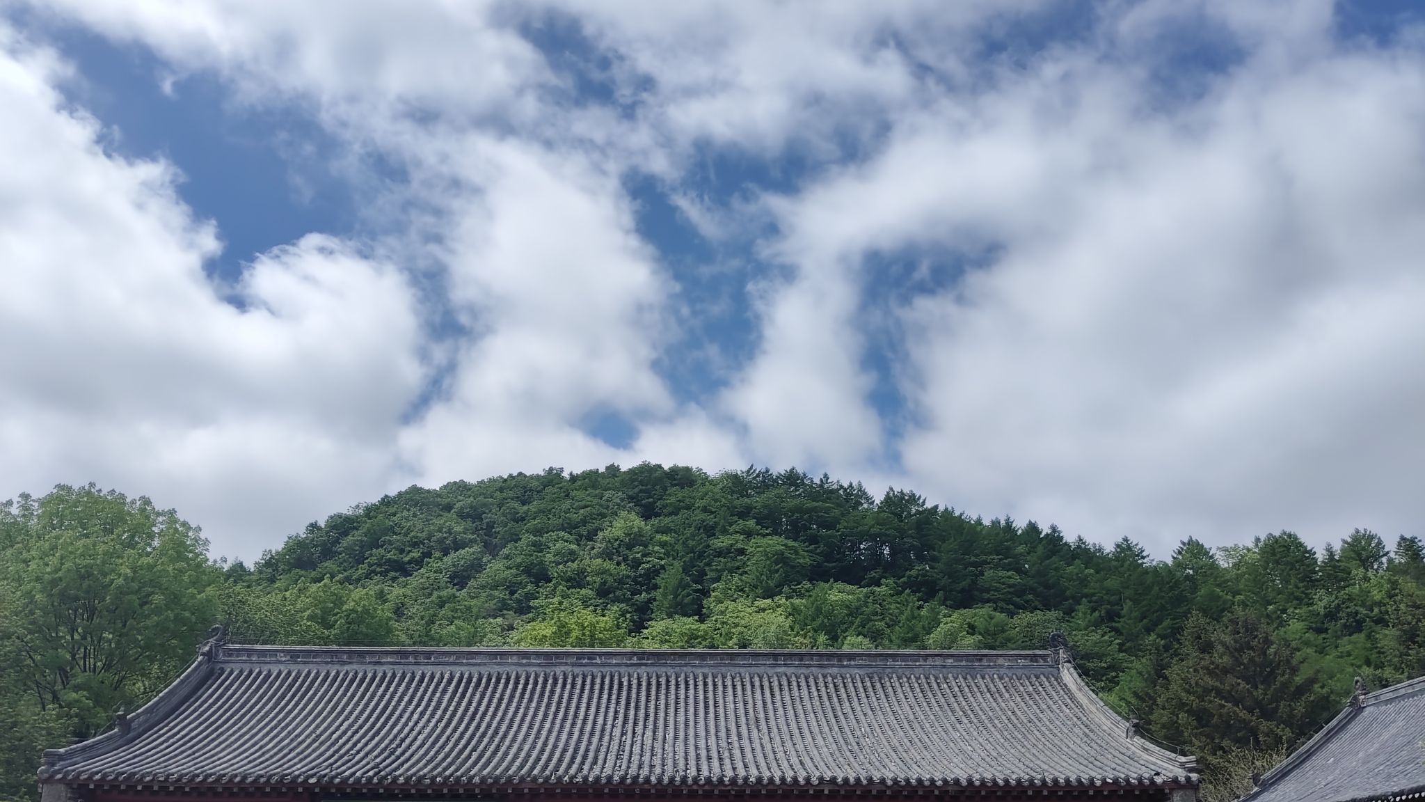 清永陵旅行图片 3