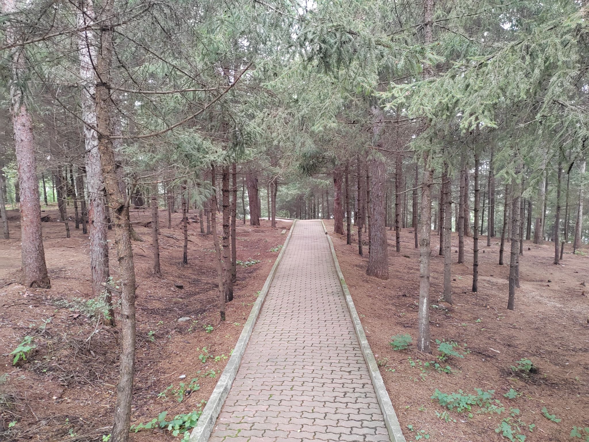 兴京公园旅行图片 3