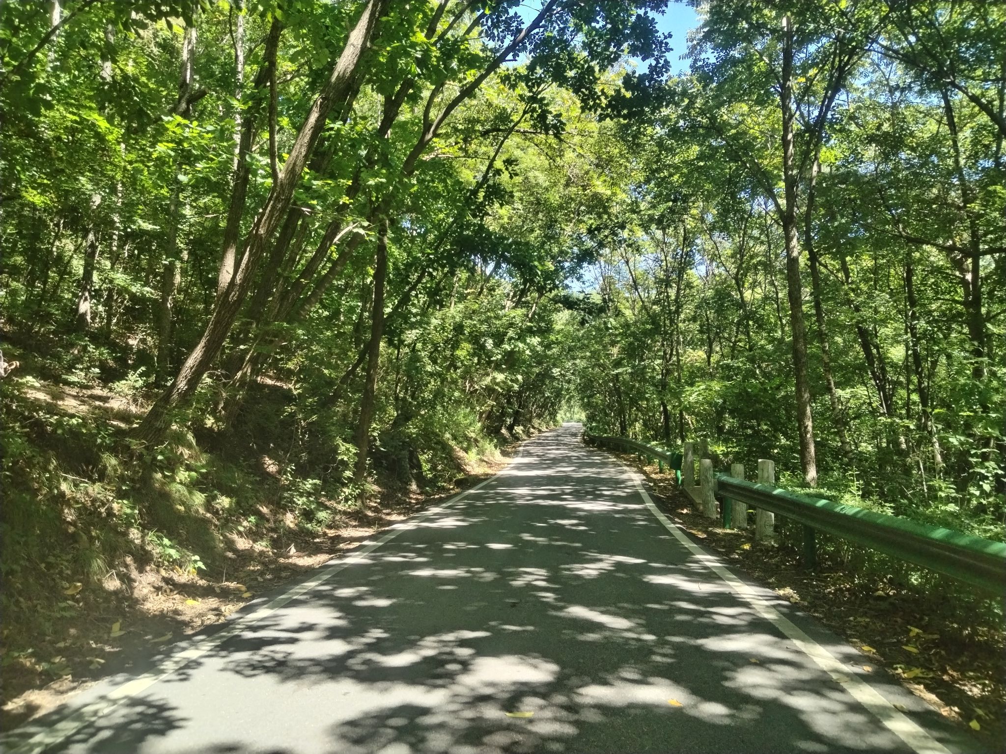 三块石国家森林公园旅行图片 3