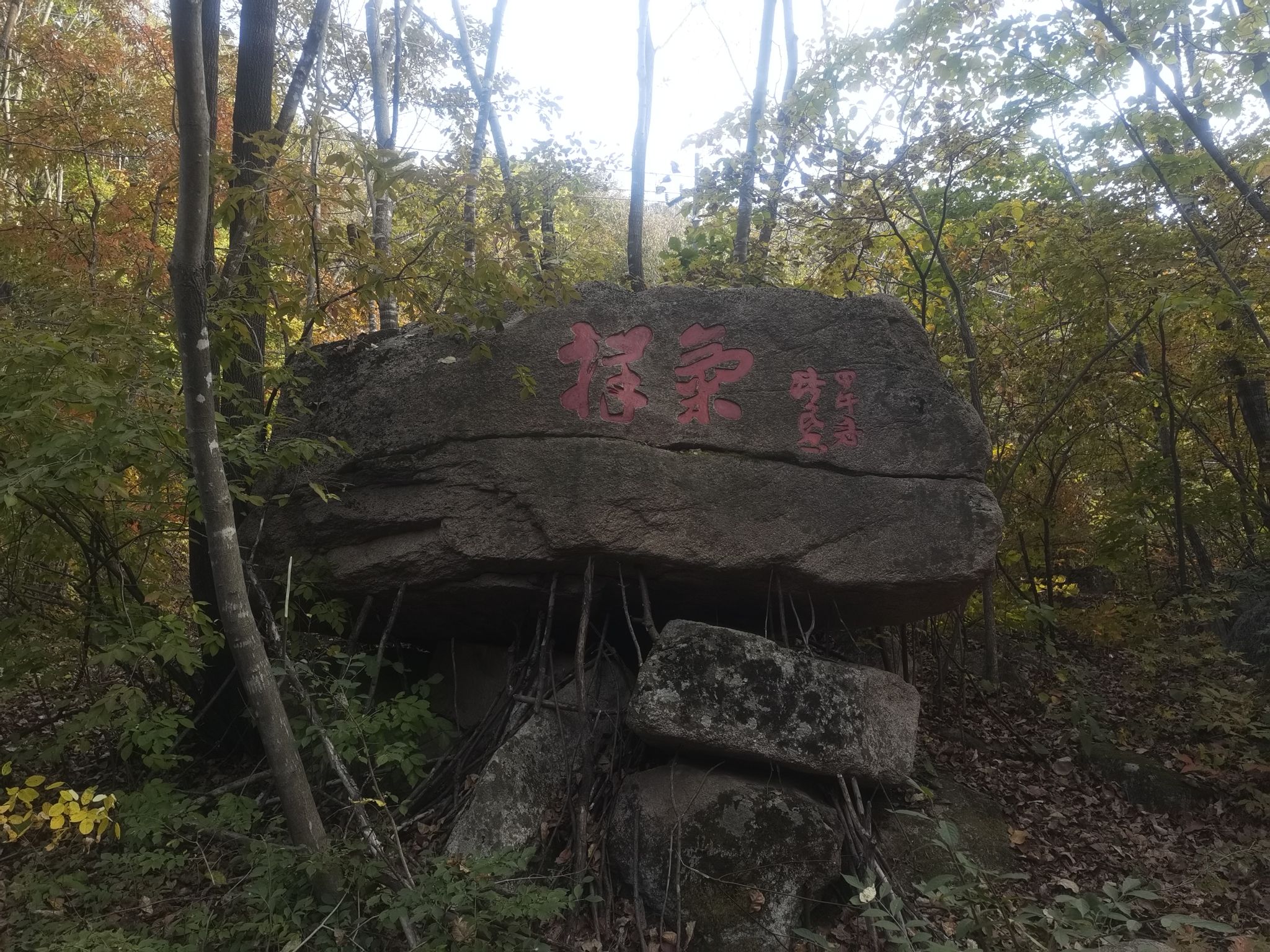三块石国家森林公园旅行图片 2