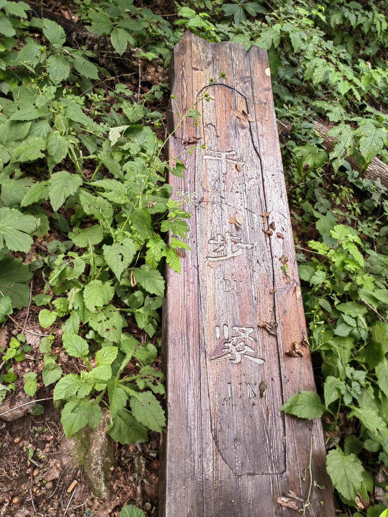 三块石国家森林公园旅行图片 3