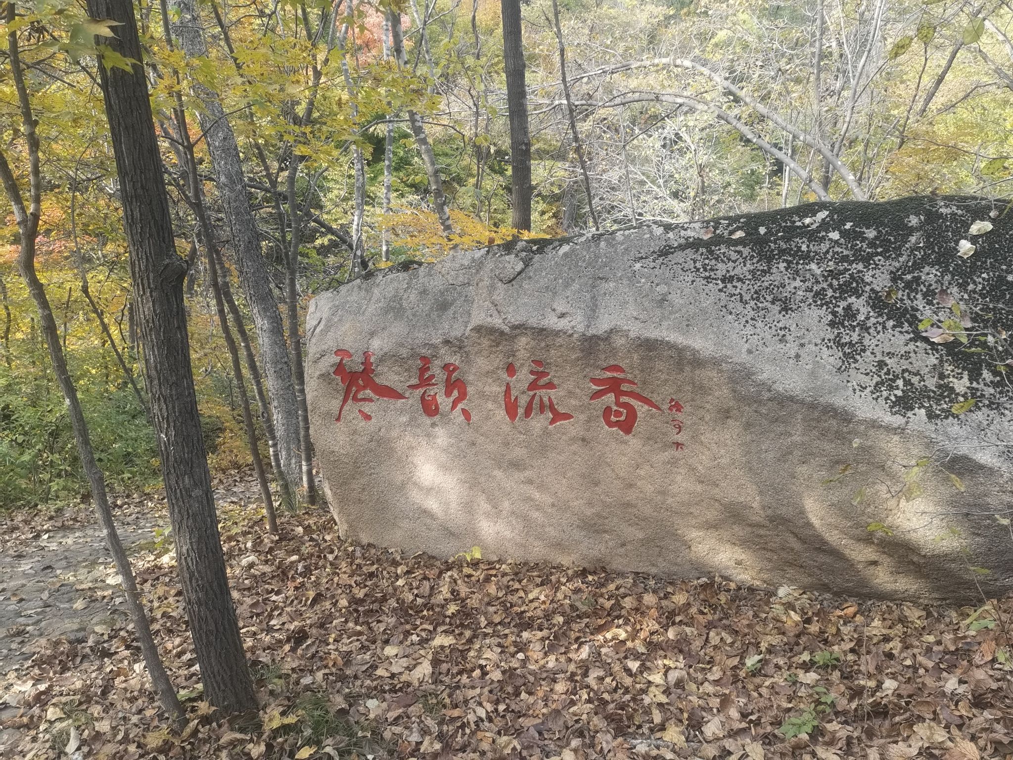 三块石国家森林公园旅行图片 1