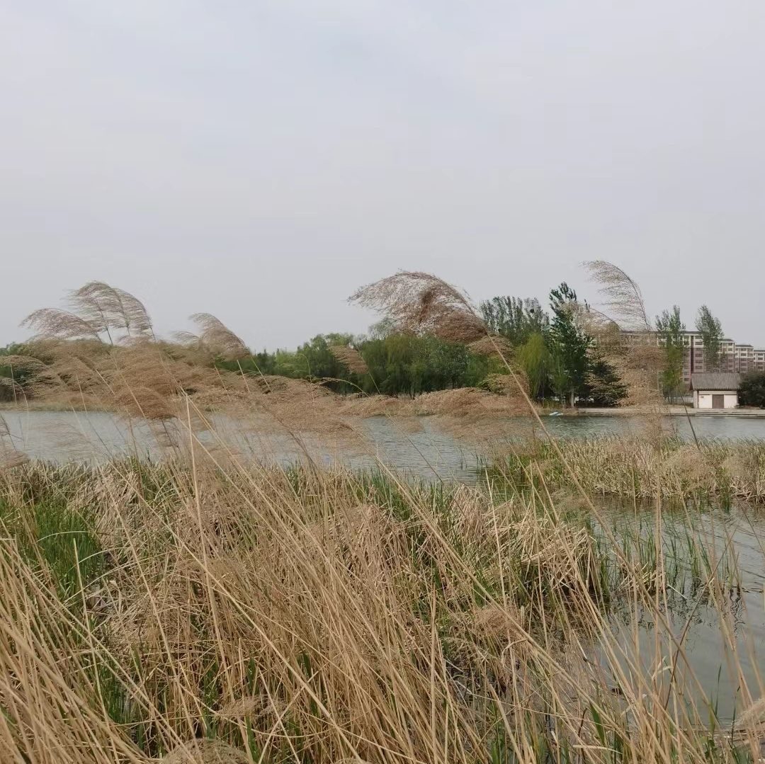 雁鸣湖旅行图片 1
