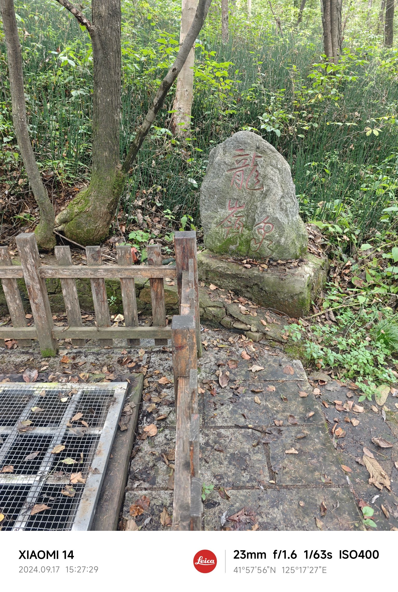 浑河源森林公园旅行图片 3