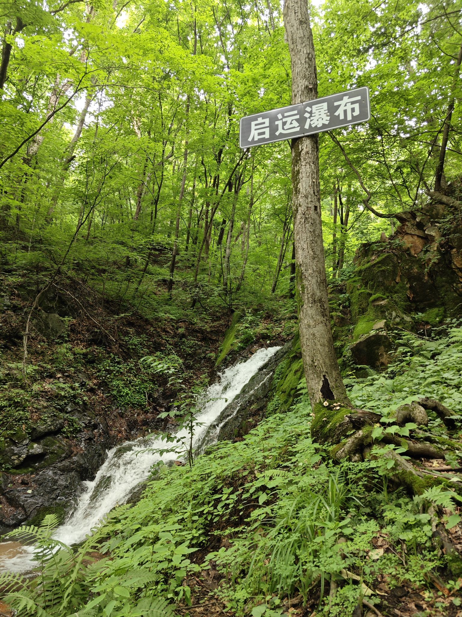 岗山国家森林公园(暂停开放)旅行图片 1