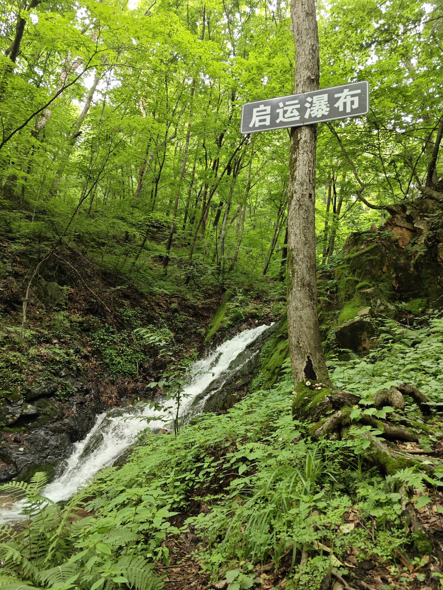 岗山国家森林公园(暂停开放)旅行图片 2