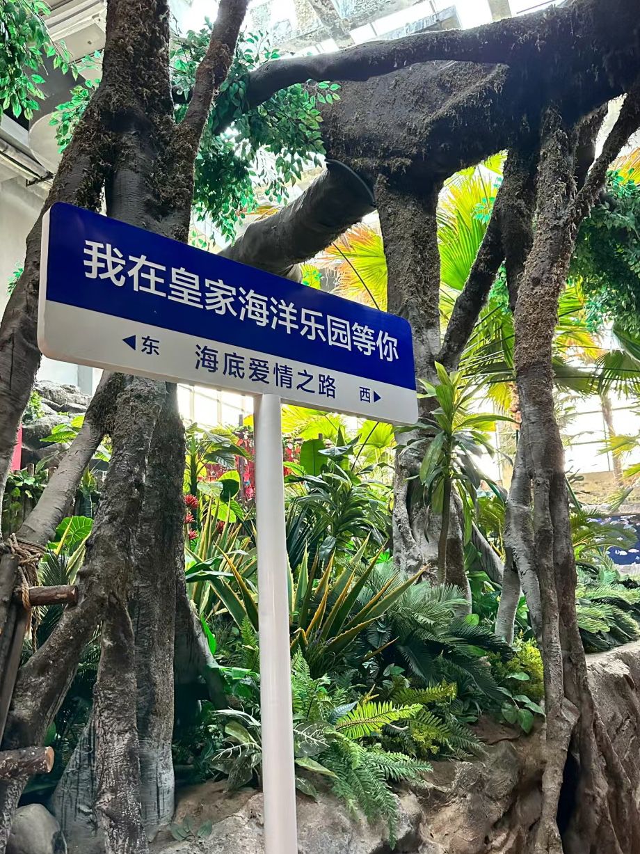 皇家海洋乐园旅行图片 3