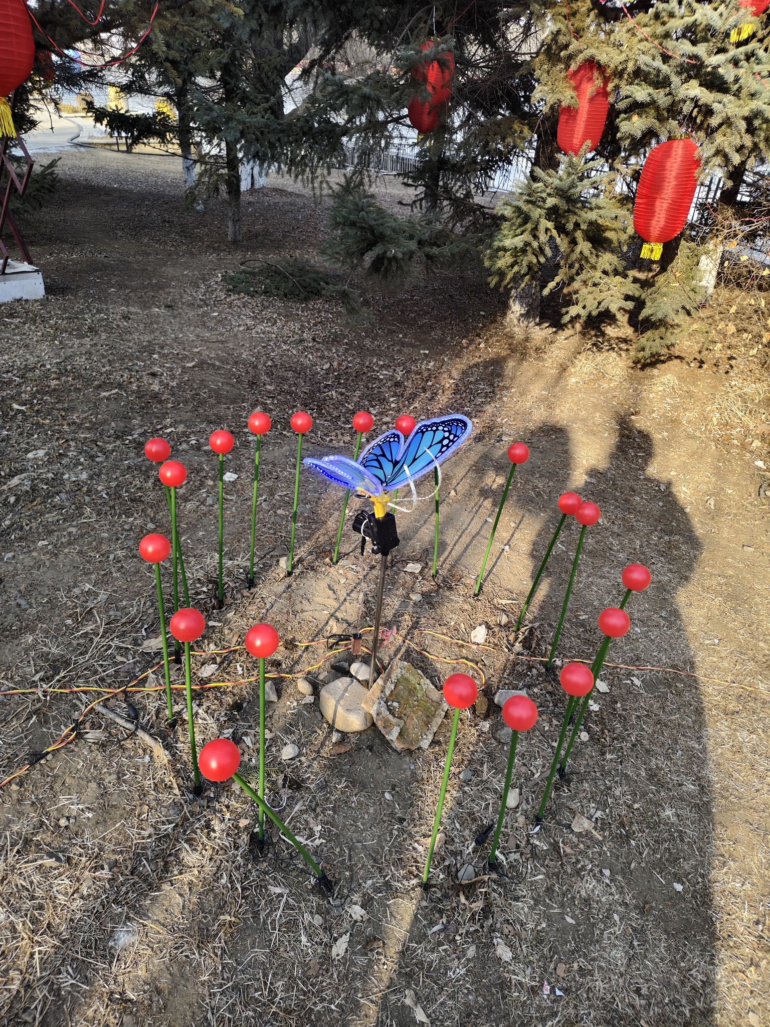 月牙岛生态公园旅行图片 2