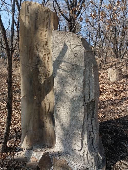 平顶山森林公园