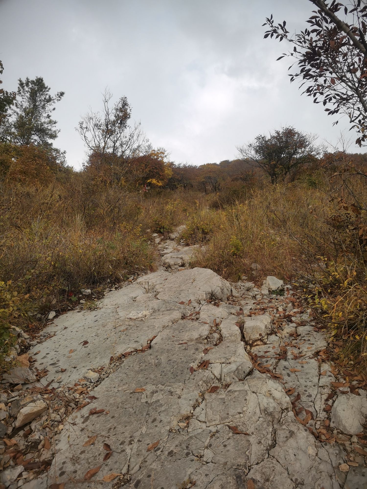 本溪湖公园旅行图片 2