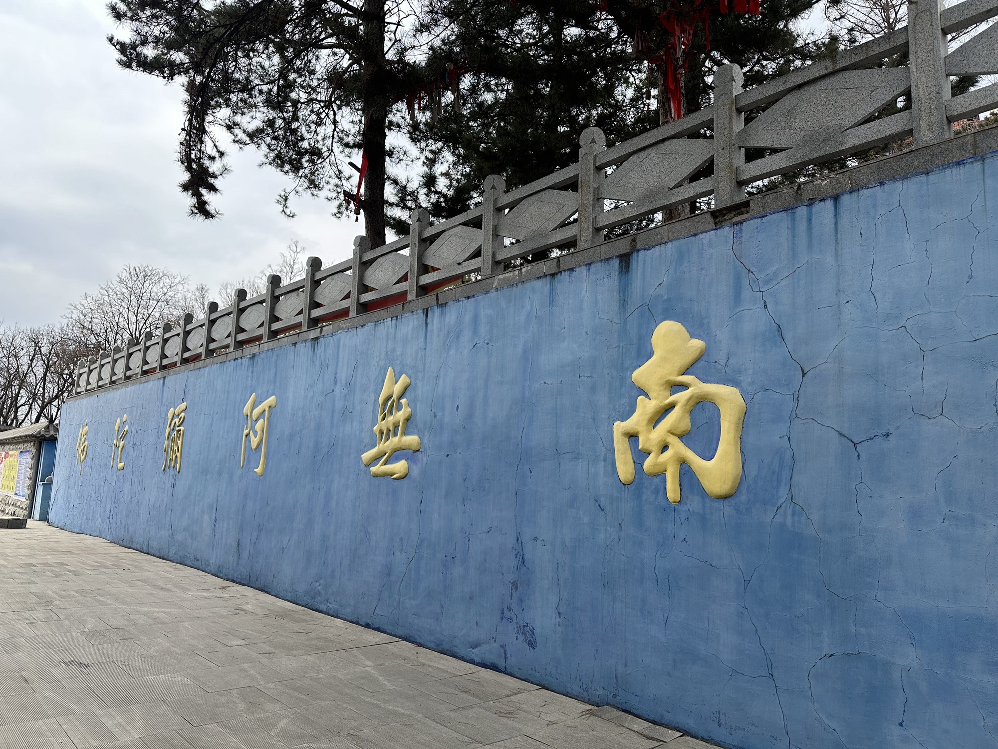 观音山公园旅行图片 2