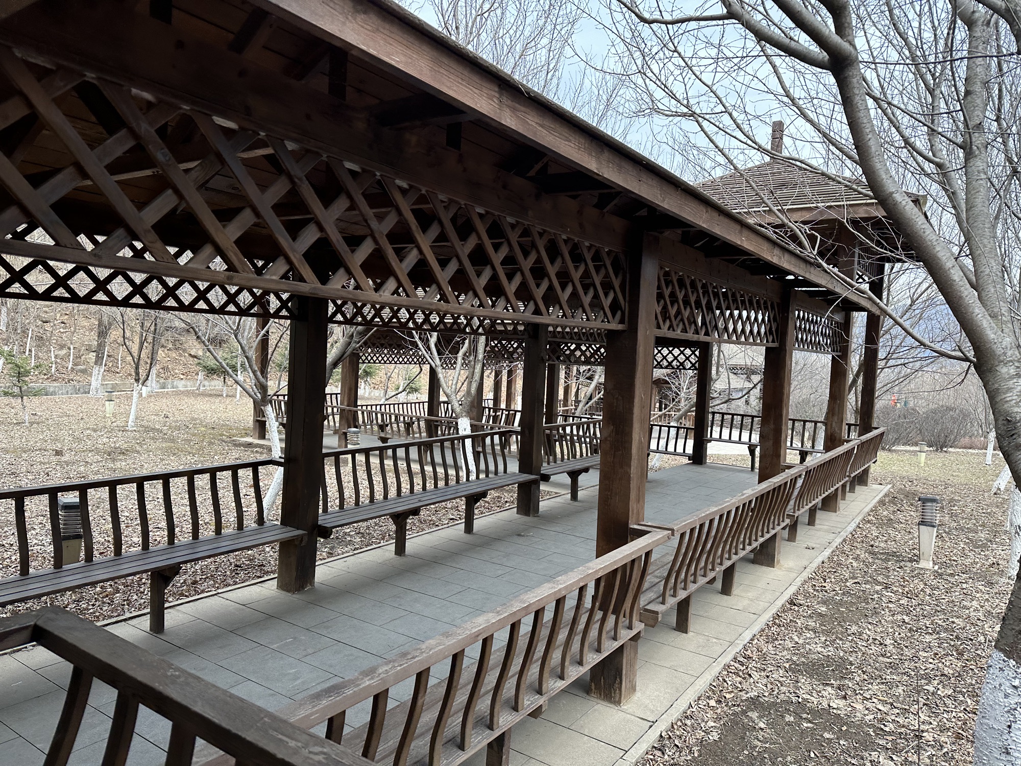 观音山公园旅行图片 1