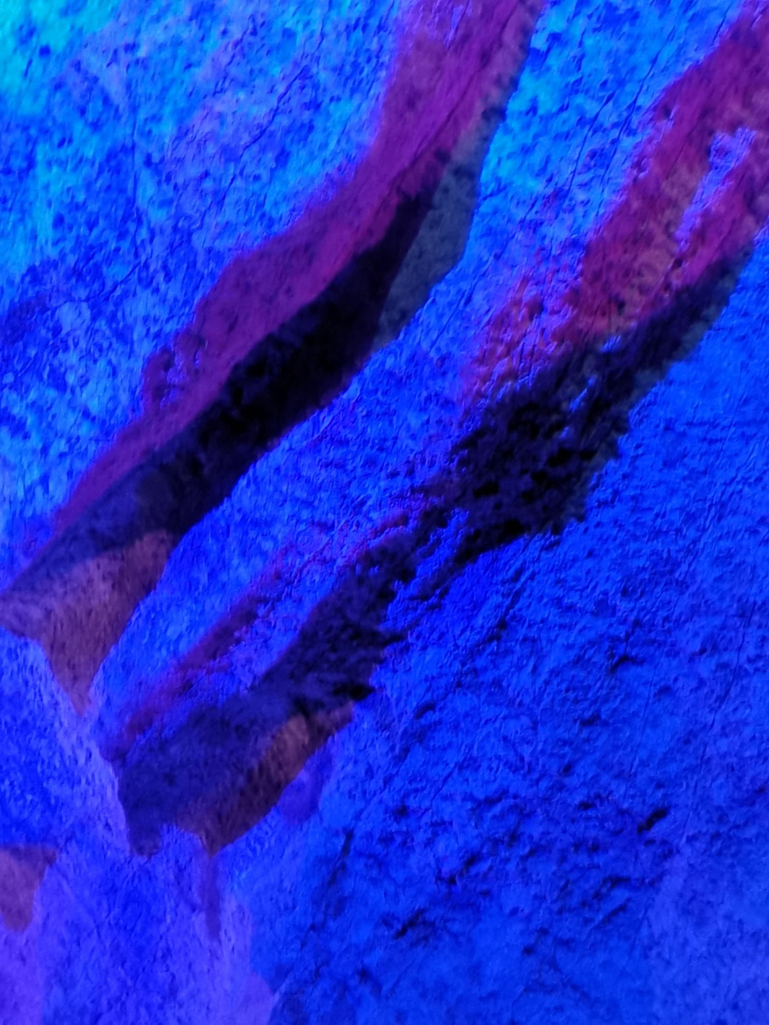 望天洞景区旅行图片 2
