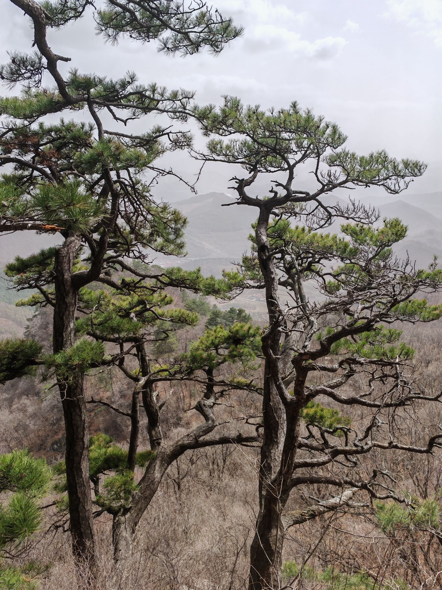 九鼎铁刹山风景区旅行图片 2