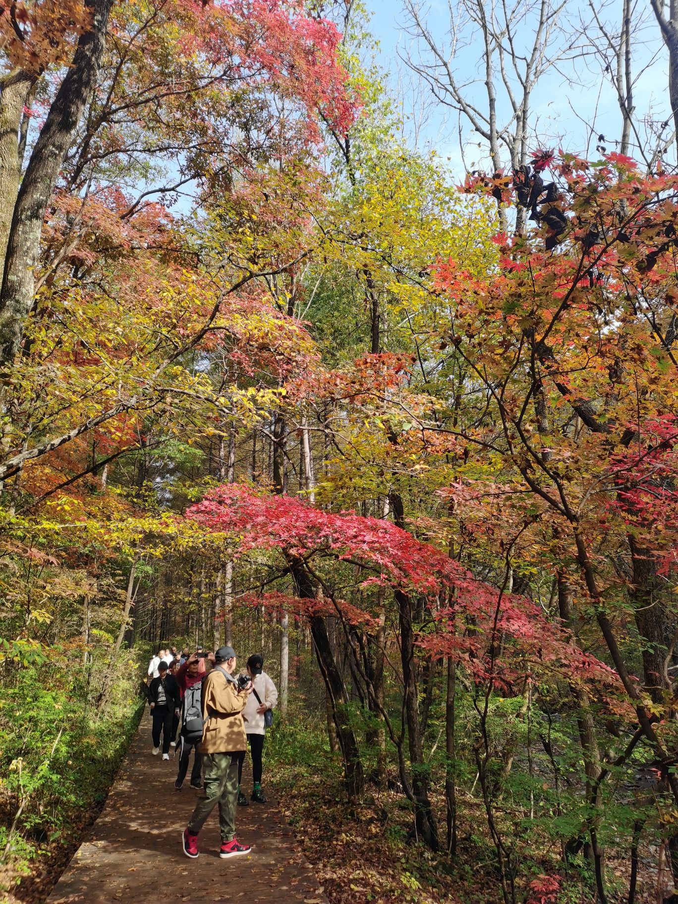 关门山国家森林公园旅行图片 3