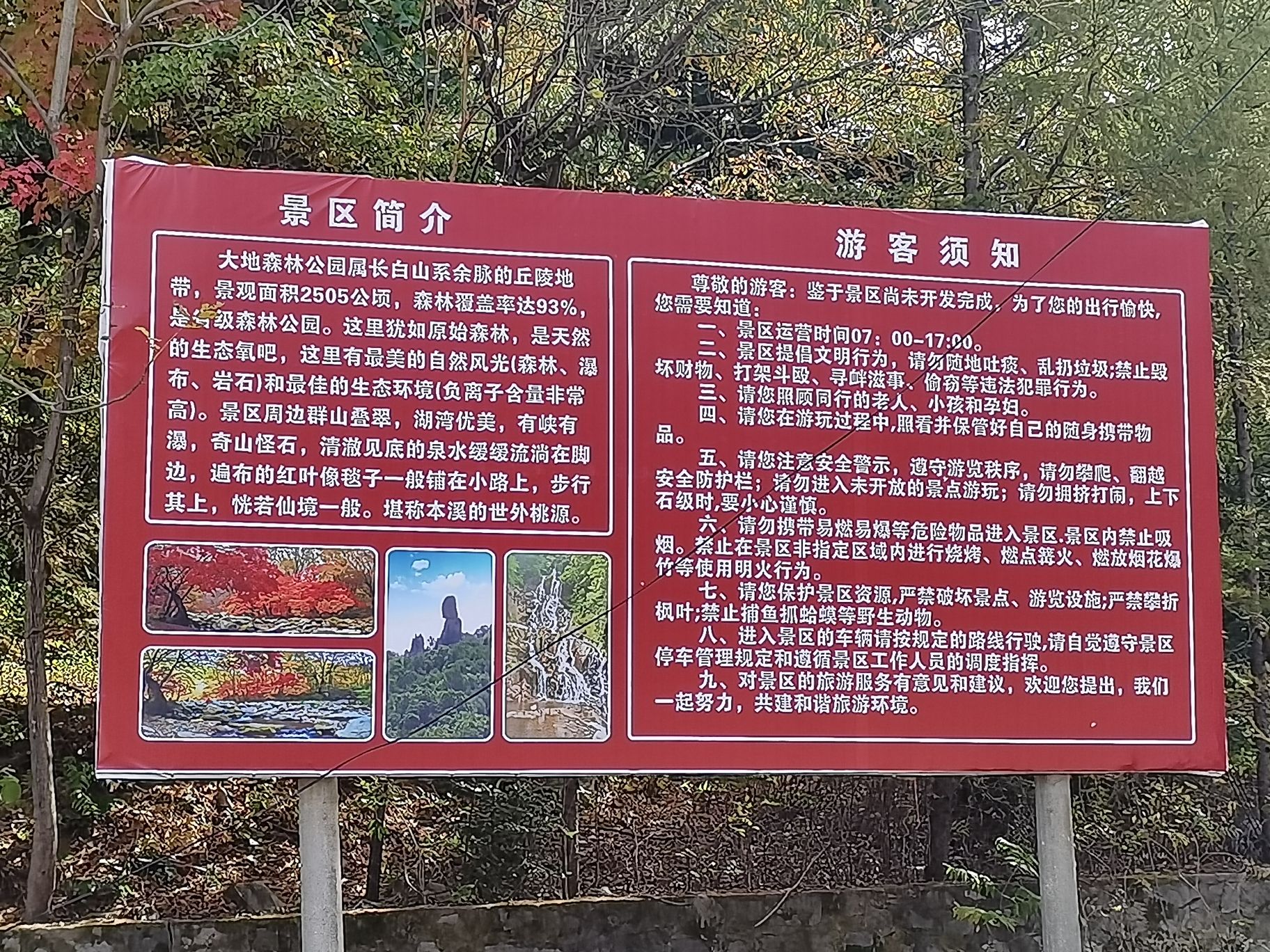 大地森林公园