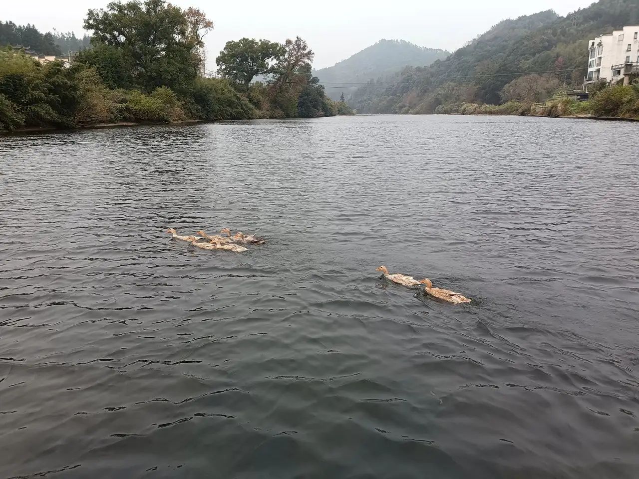 大雅河漂流景区(暂停开放)旅行图片 2