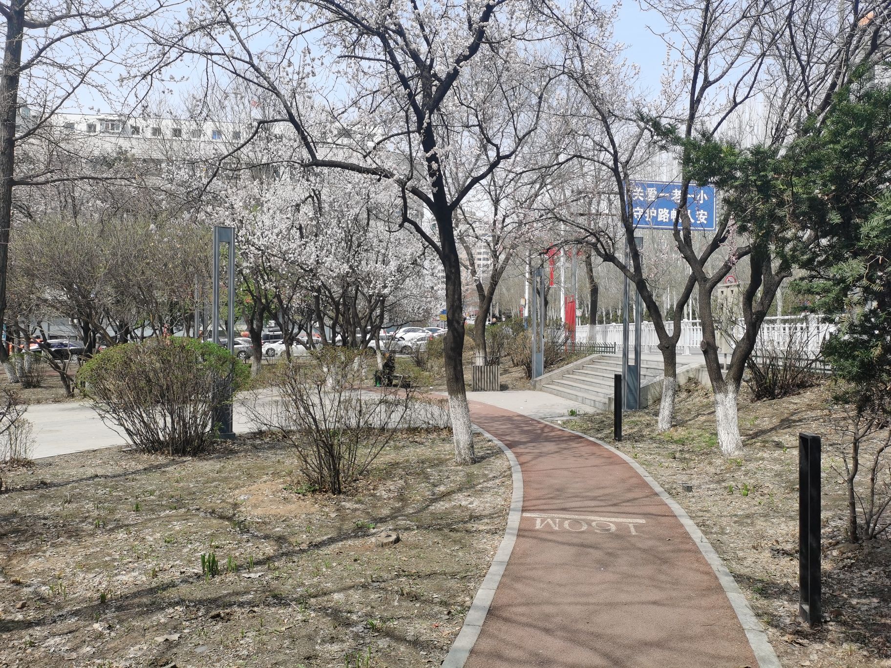 丽园休闲广场旅行图片 3