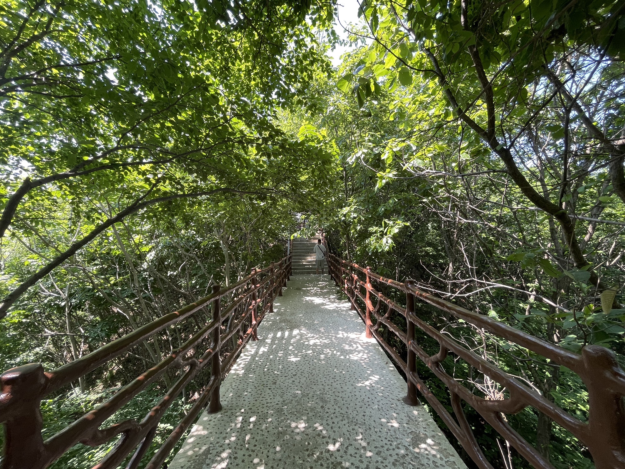 本溪湖景区国家地质公园旅行图片 3