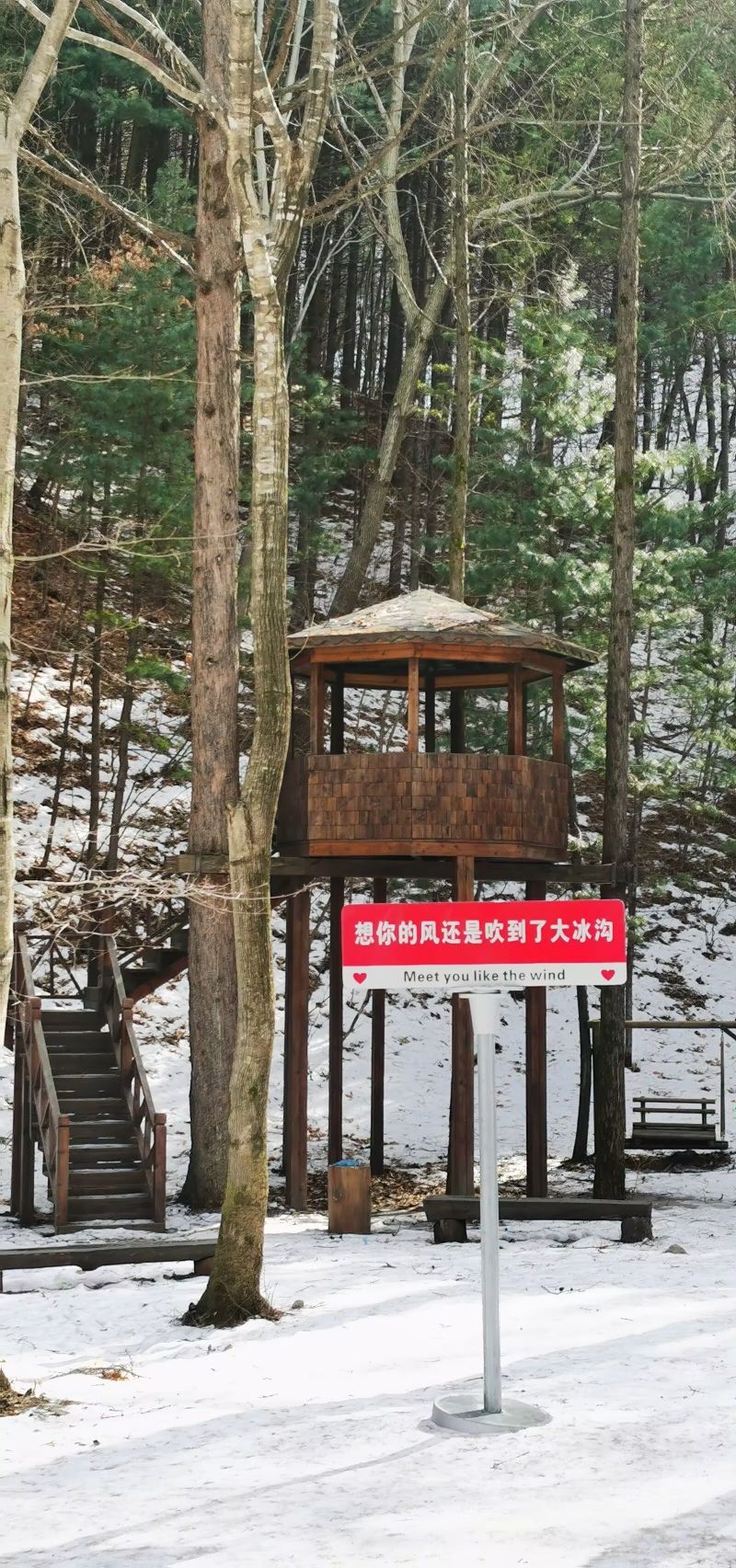 大冰沟国家地质森林公园旅行图片 2