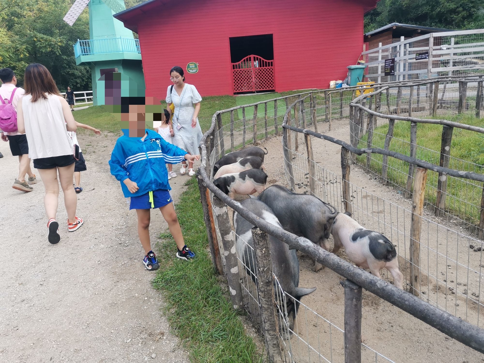 大冰沟国家地质森林公园旅行图片 3
