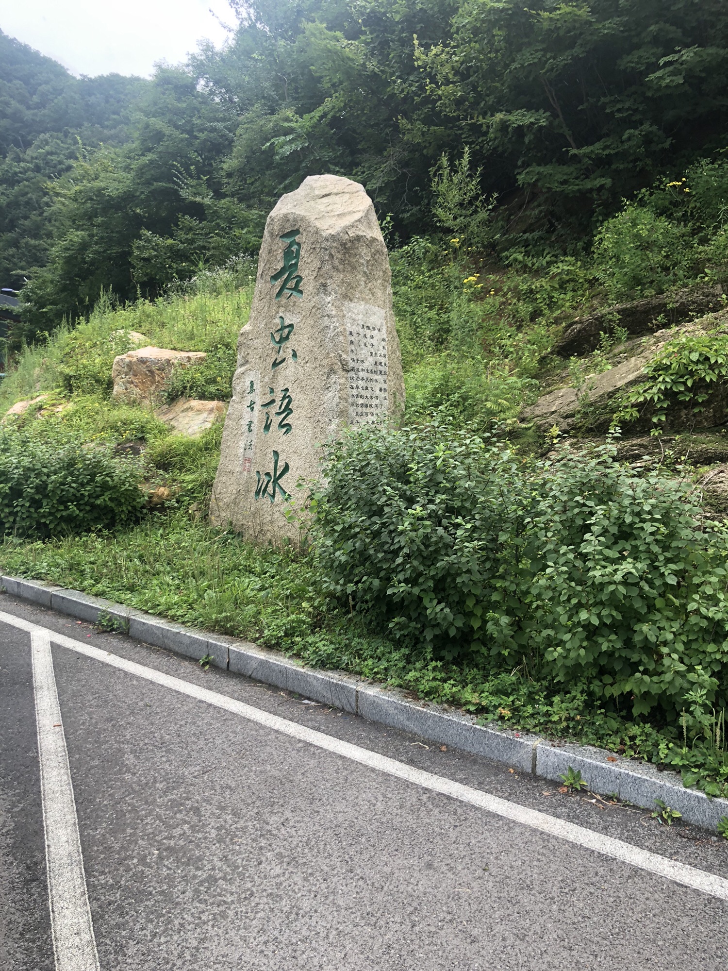 大冰沟国家地质森林公园旅行图片 1