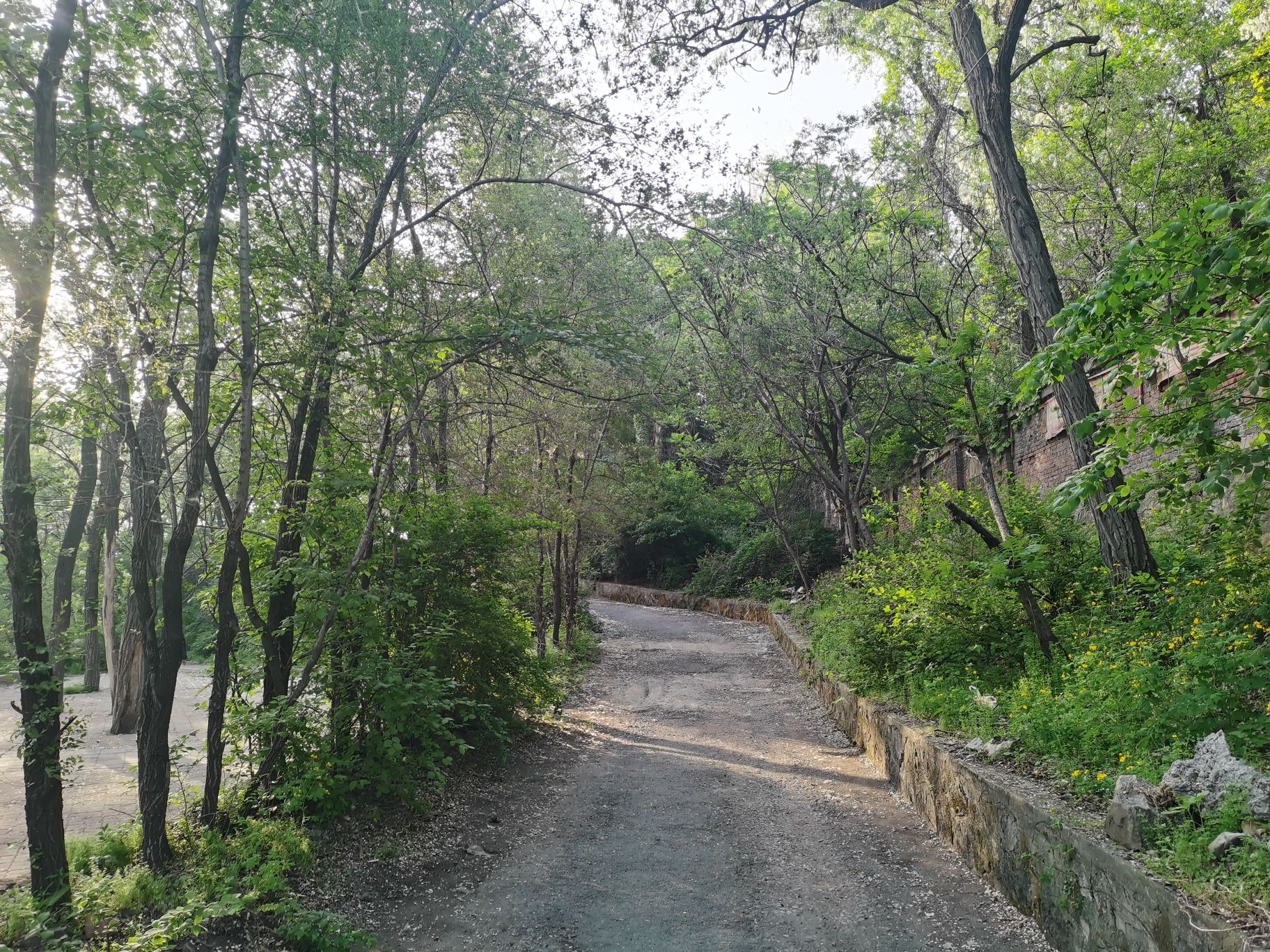 金山公园旅行图片 2