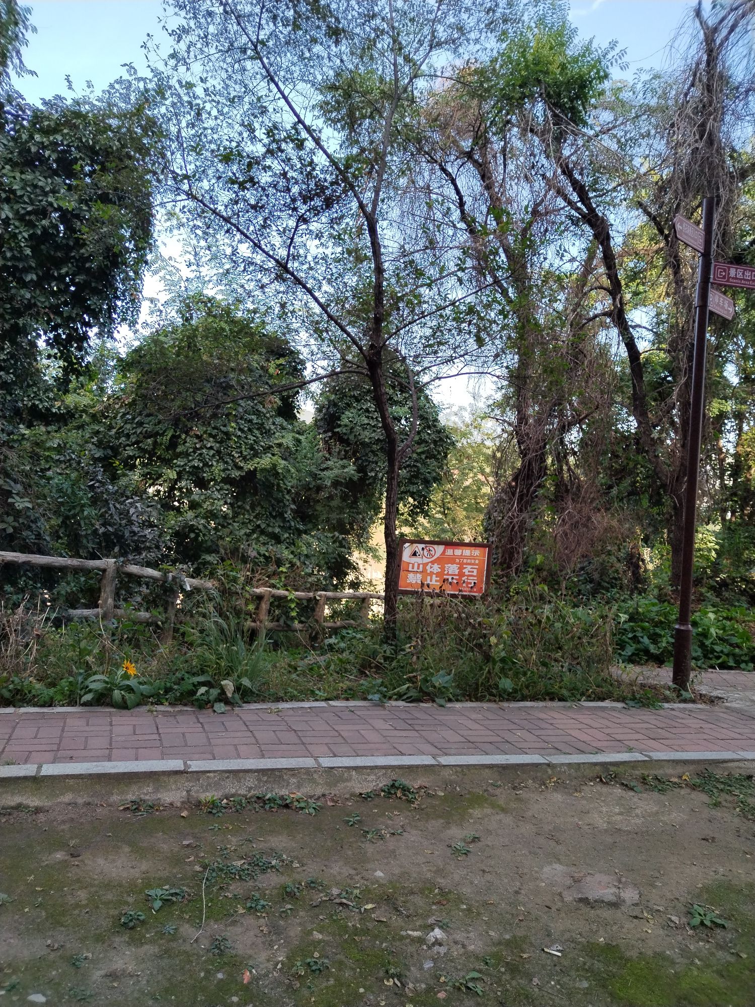 怪石洞(暂停开放)旅行图片 1