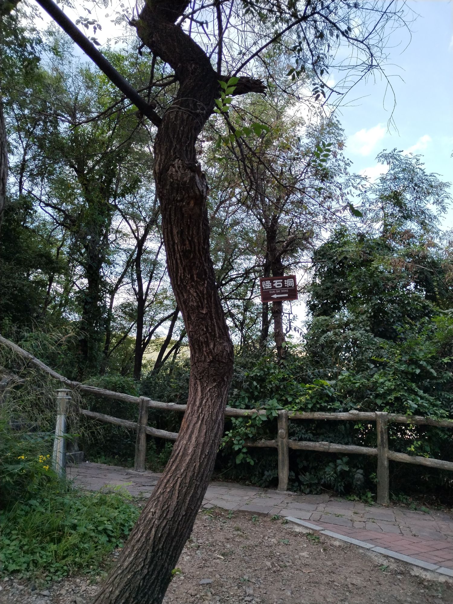 怪石洞(暂停开放)旅行图片 2