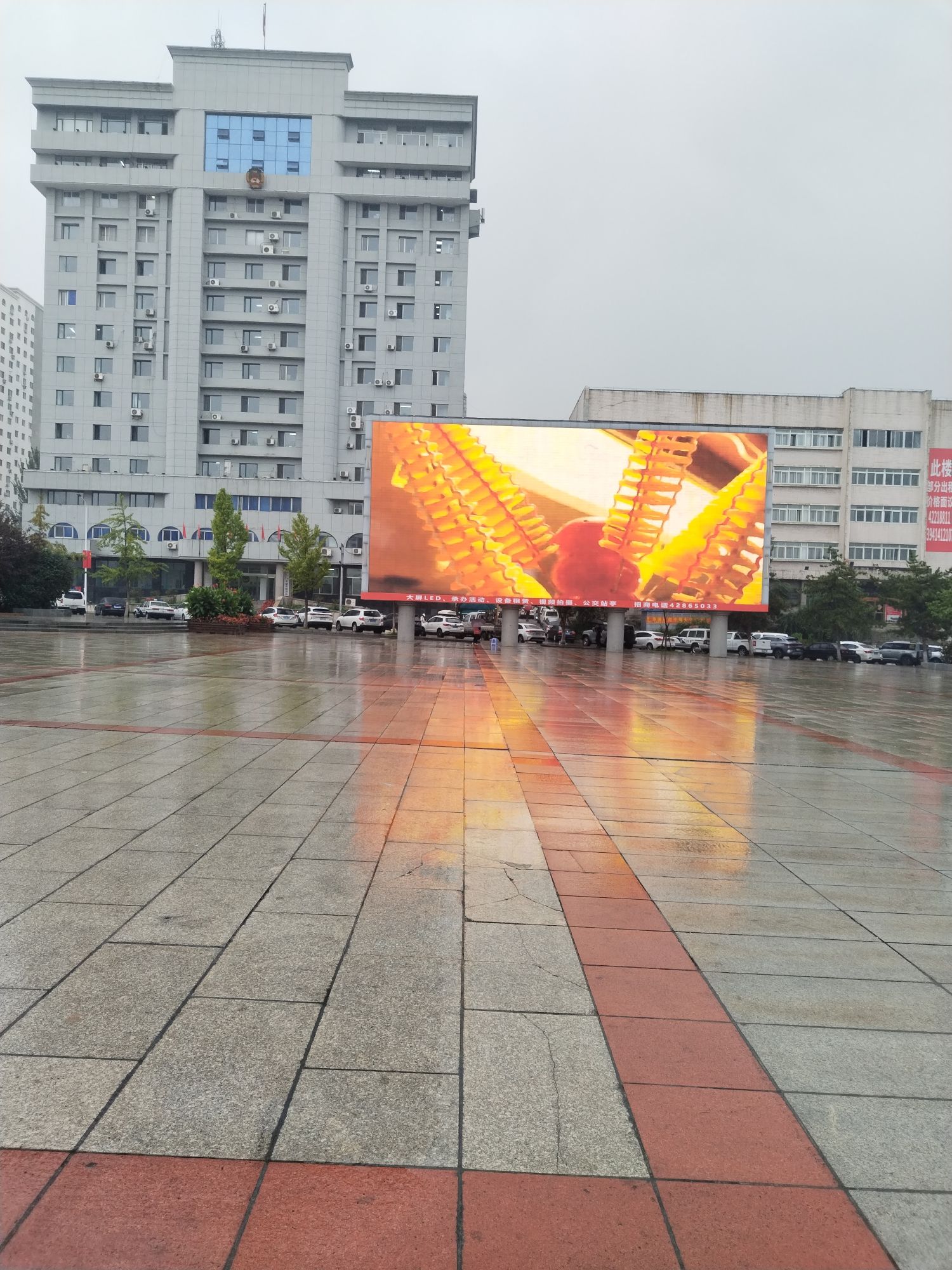 市府广场旅行图片 1