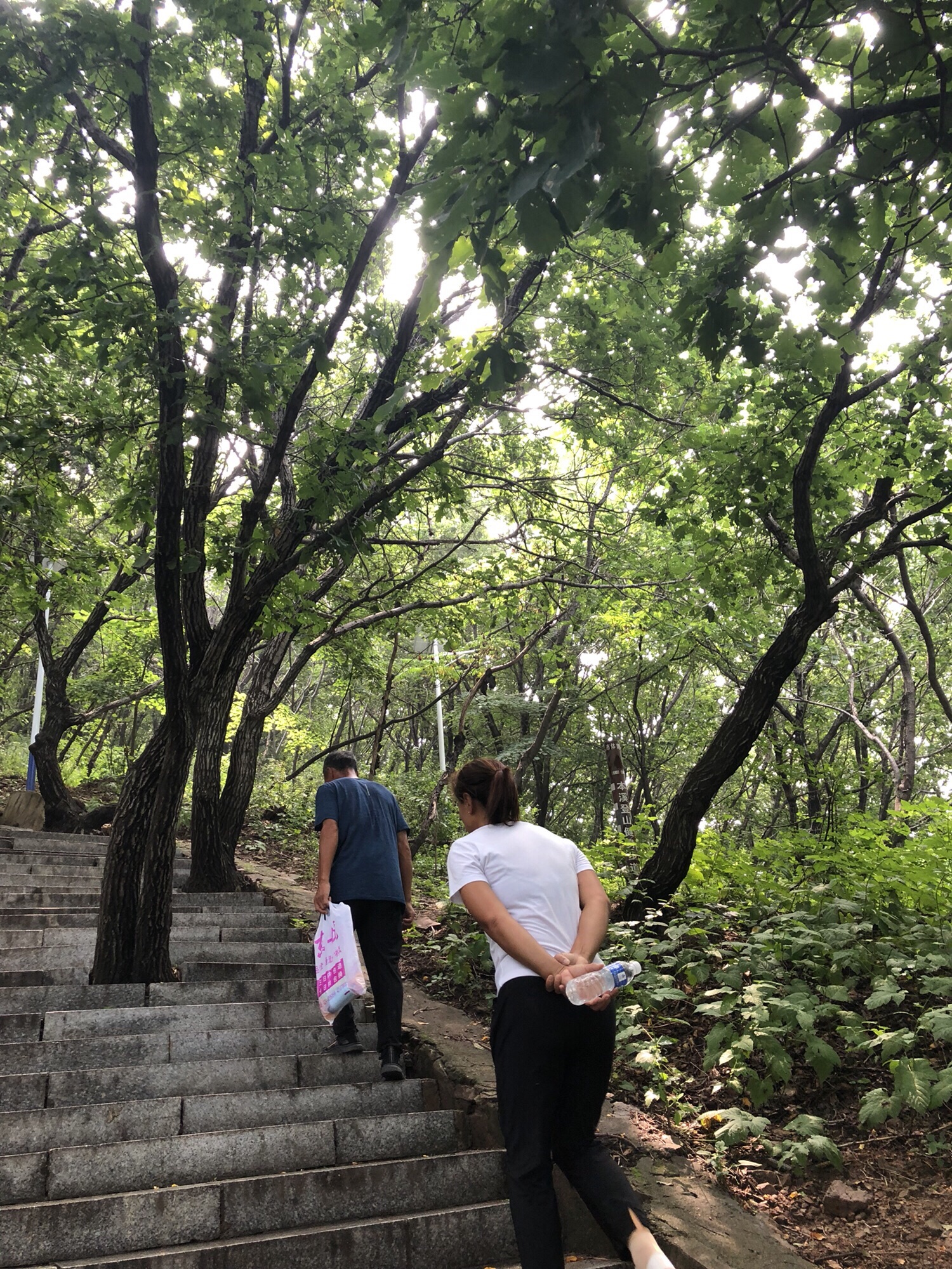 高峪山公园旅行图片 1