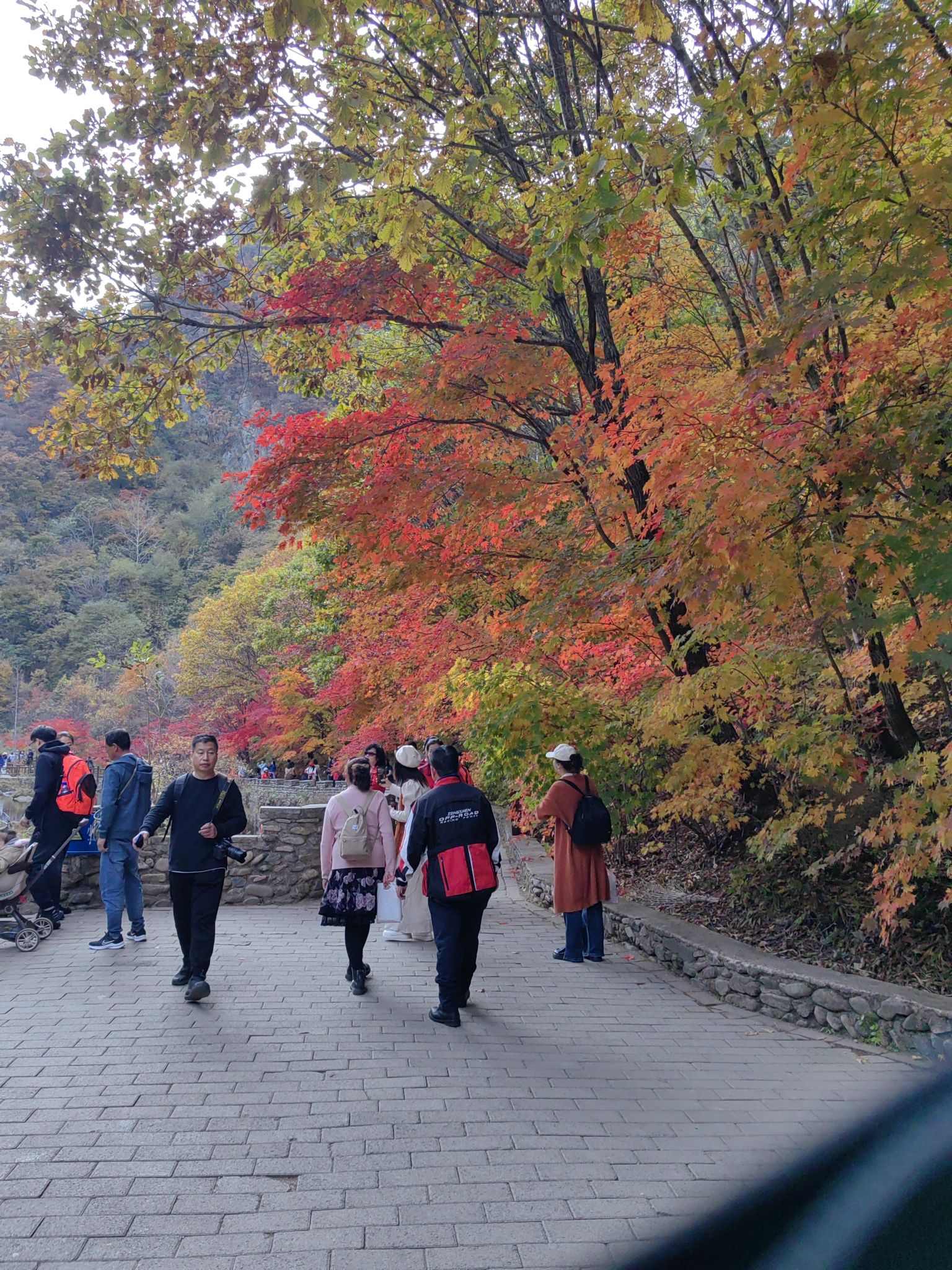 桓仁国家大森林公园旅行图片 2