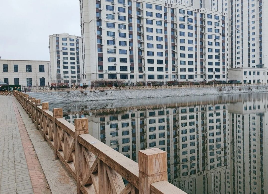 青年湖公园旅行图片 2