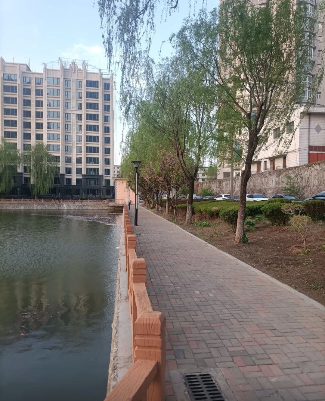 青年湖公园旅行图片 3