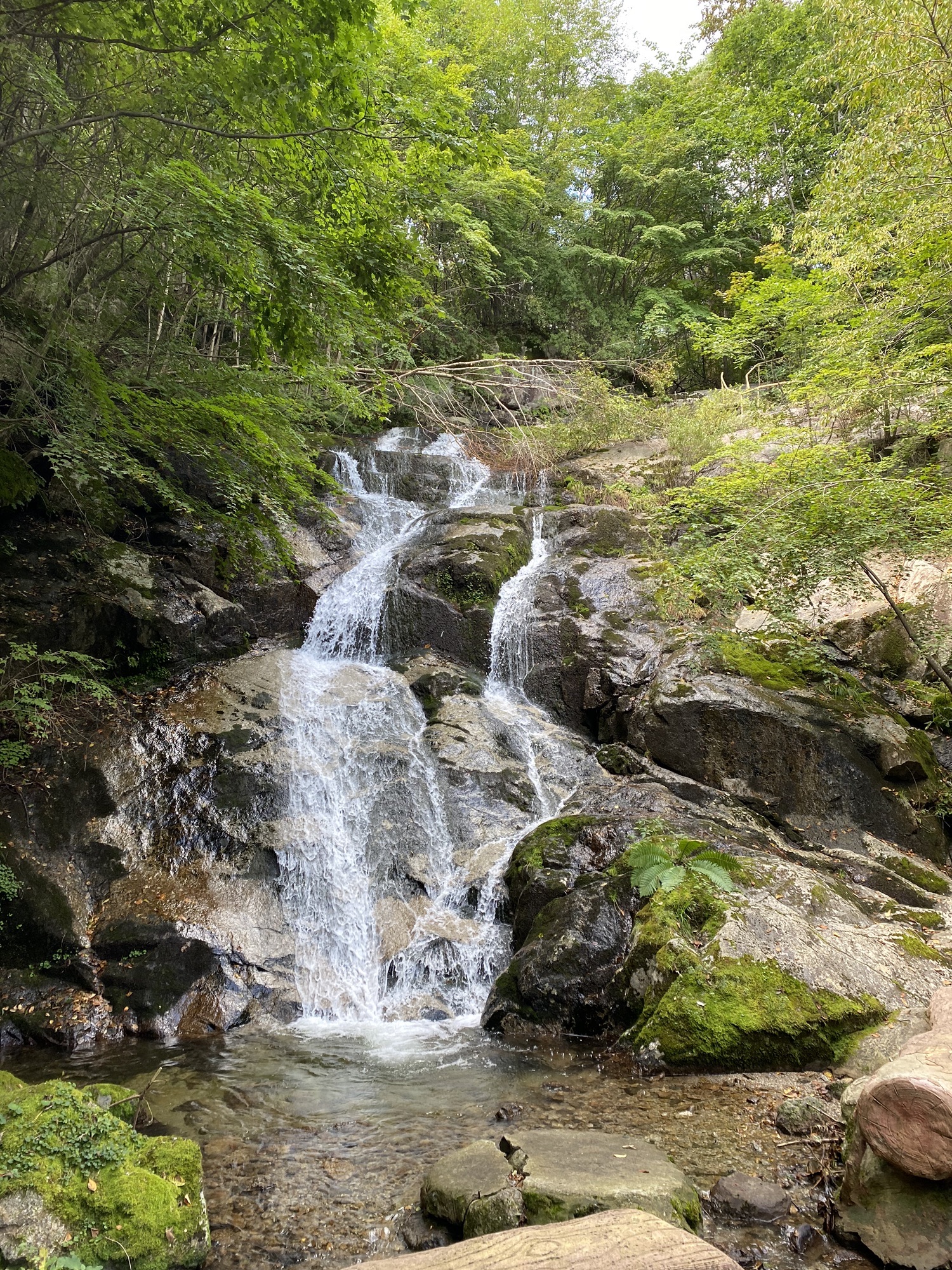 百瀑峡旅行图片 1