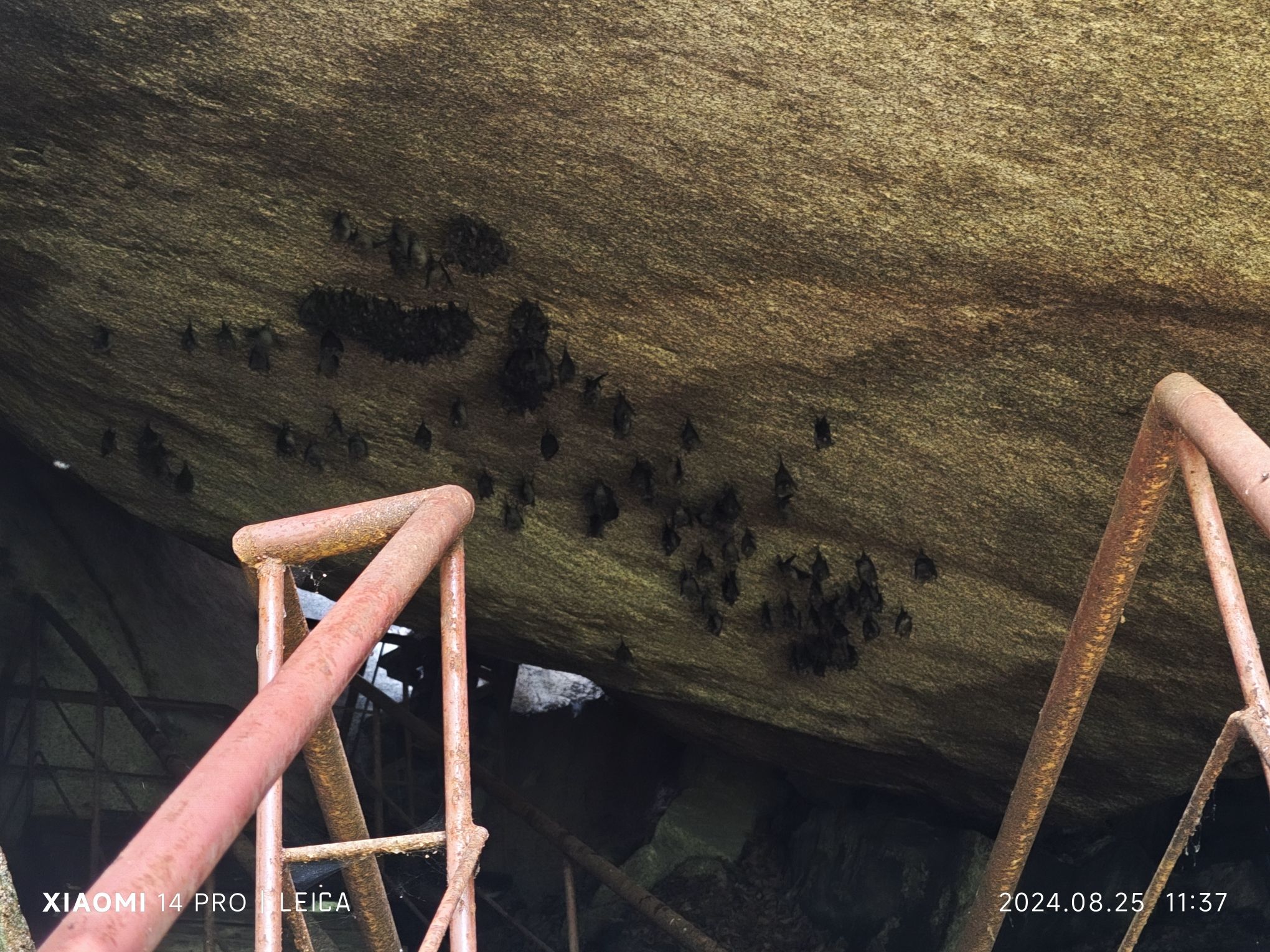 丹东天桥沟景区旅行图片 1