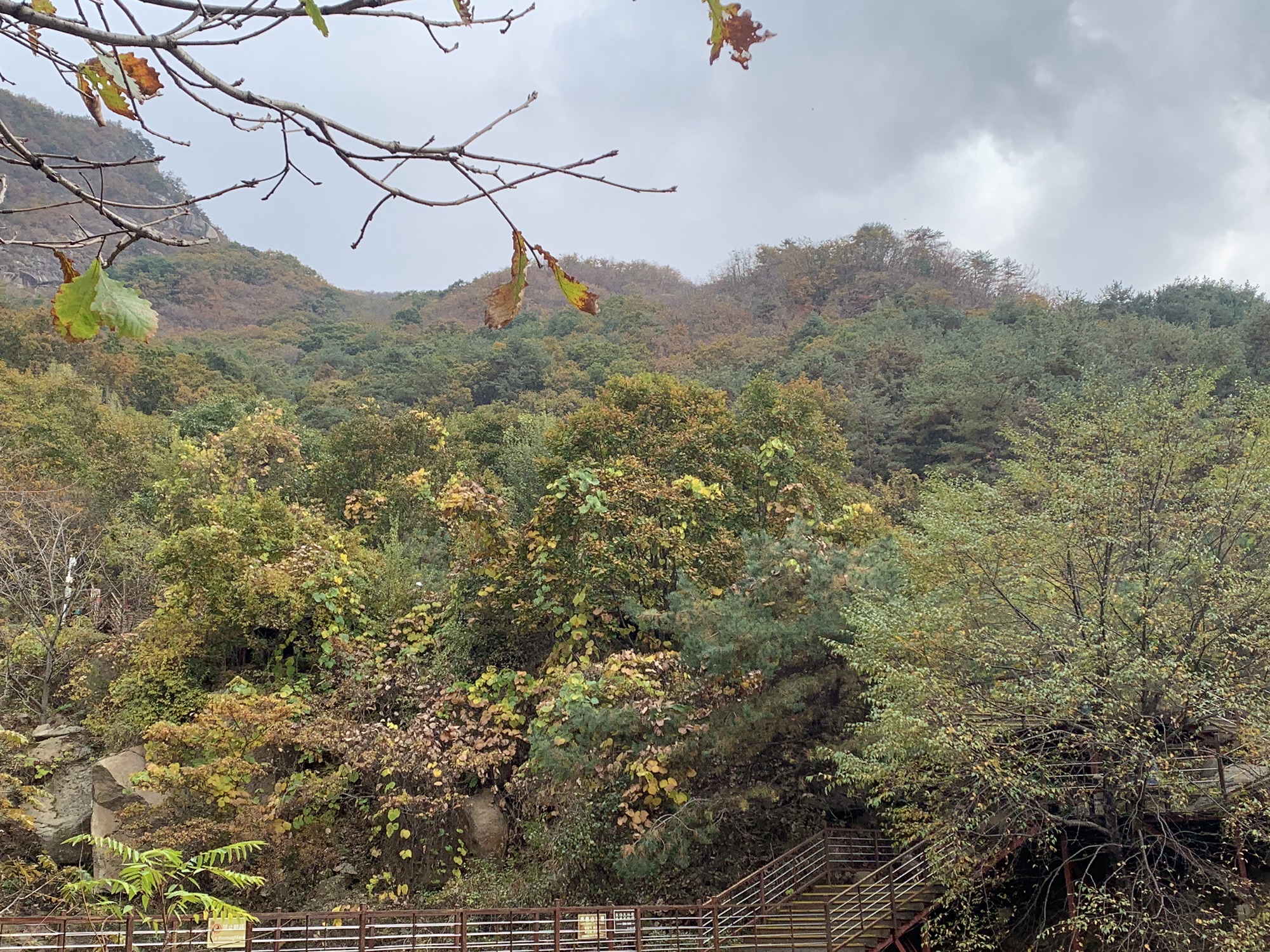 凤凰山旅行图片 2