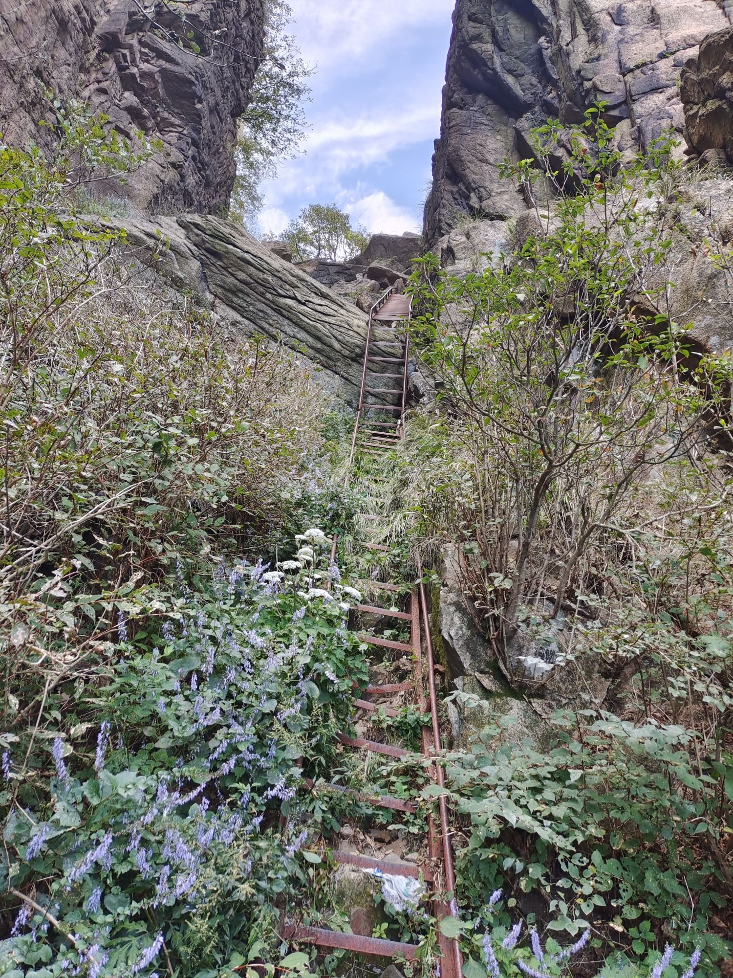 五龙山旅行图片 3