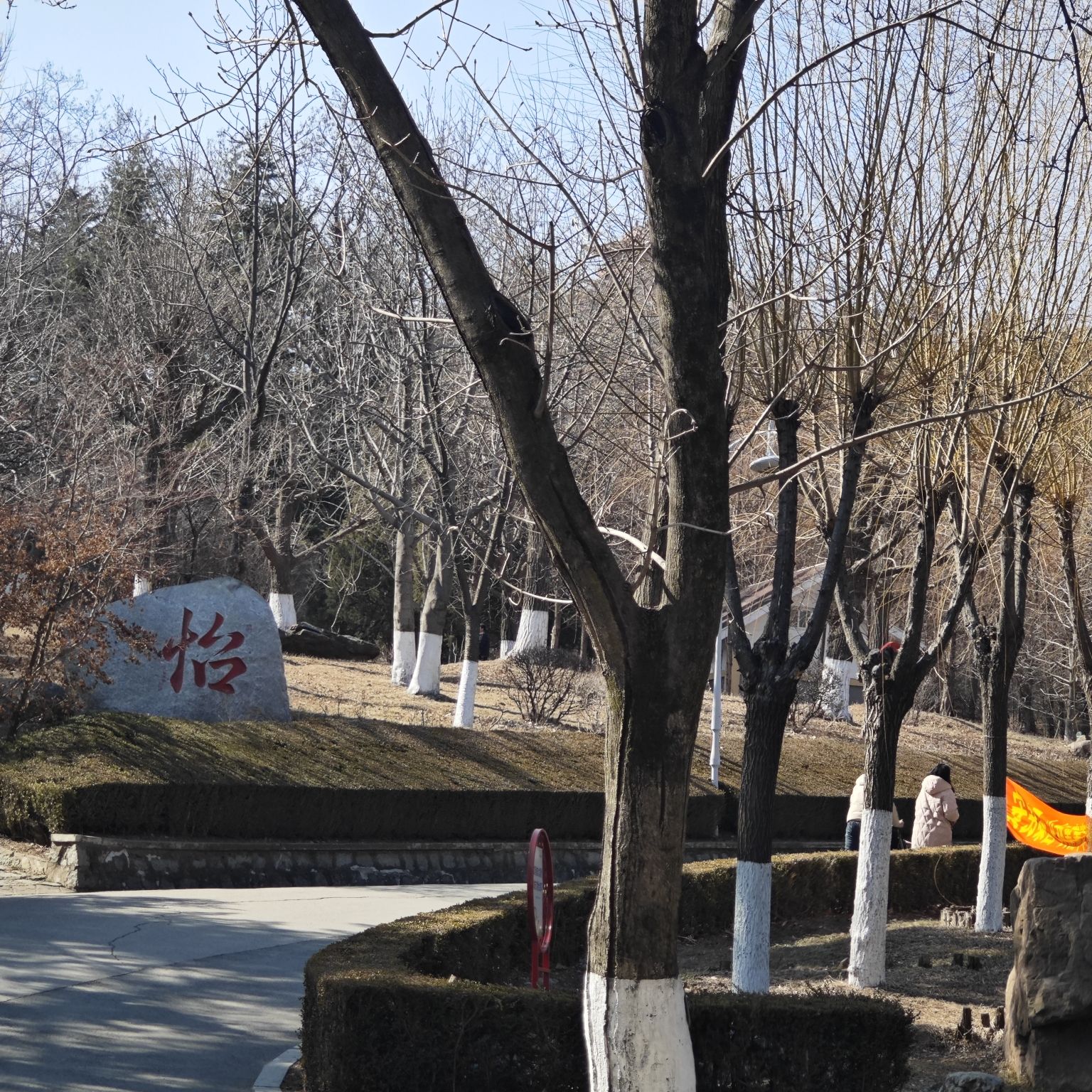 锦江山公园旅行图片 2
