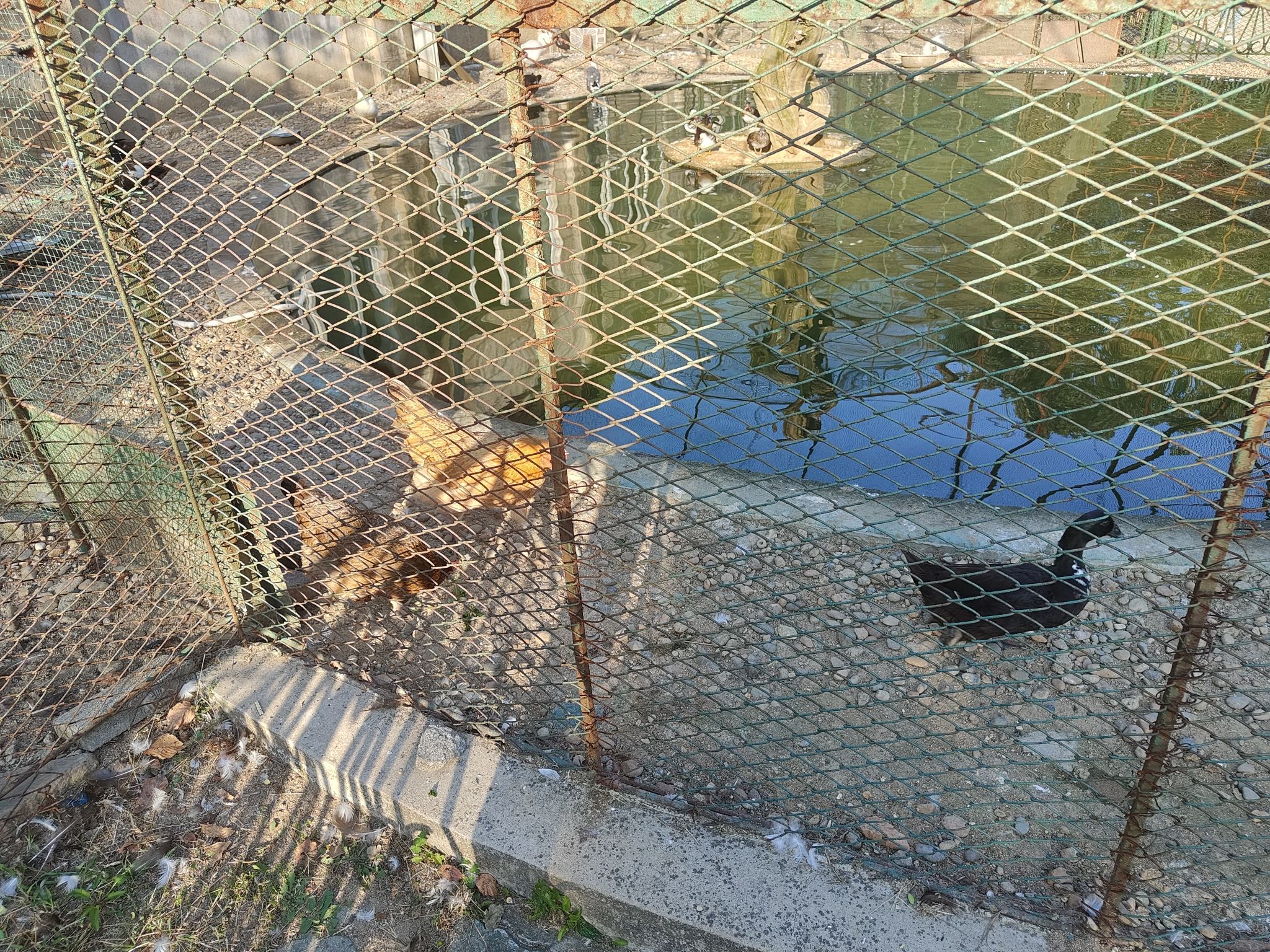 锦江山公园旅行图片 2