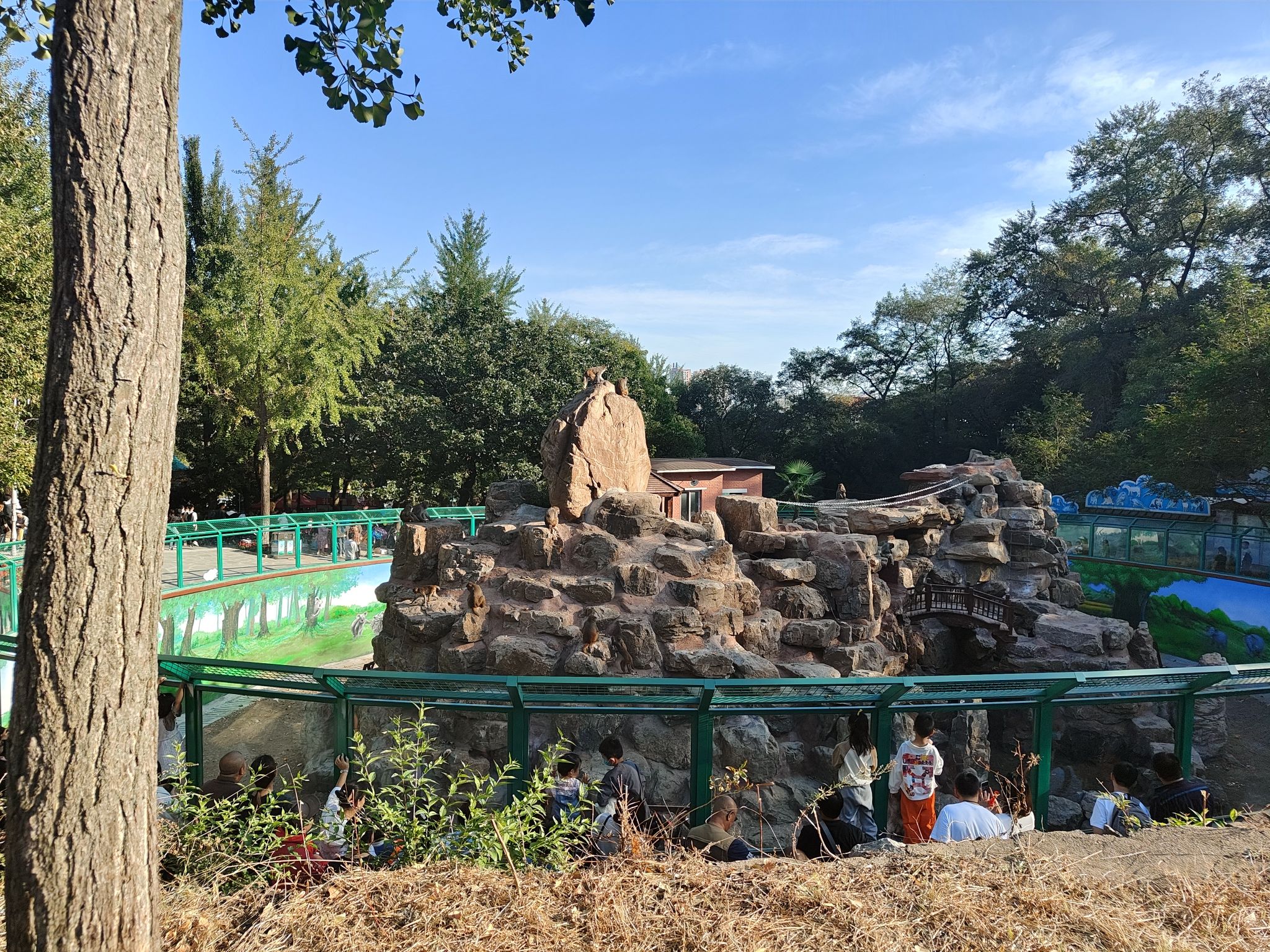 锦江山公园旅行图片 3