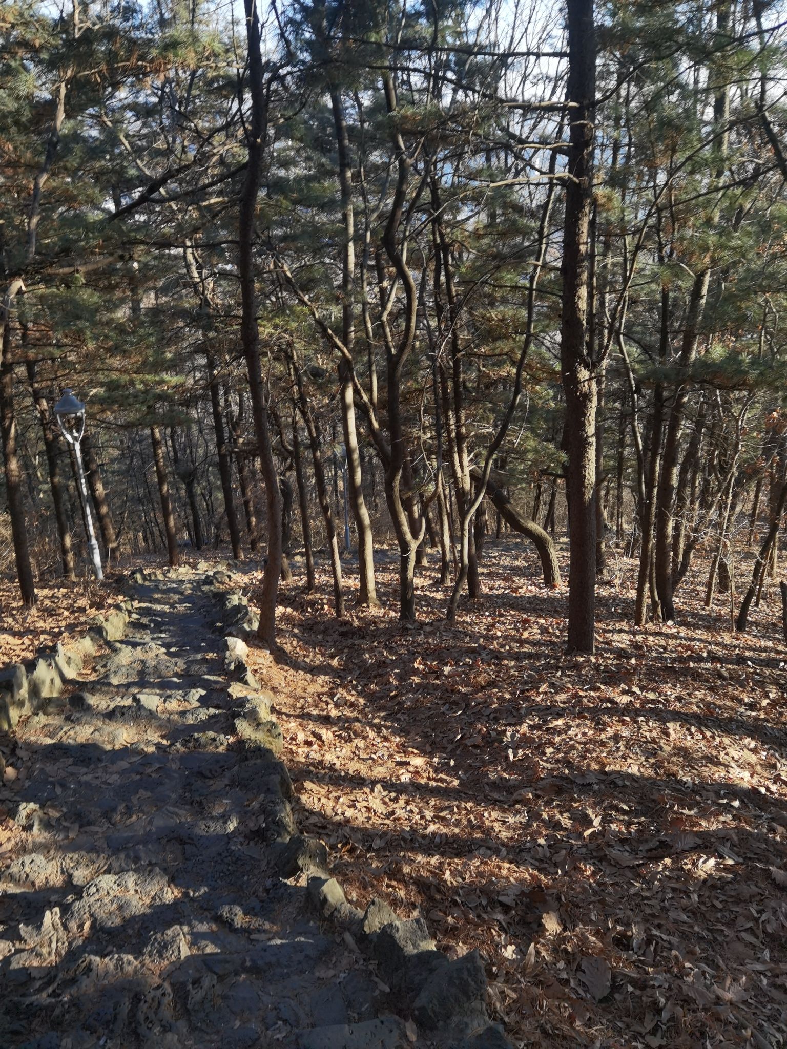 锦江山公园旅行图片 2